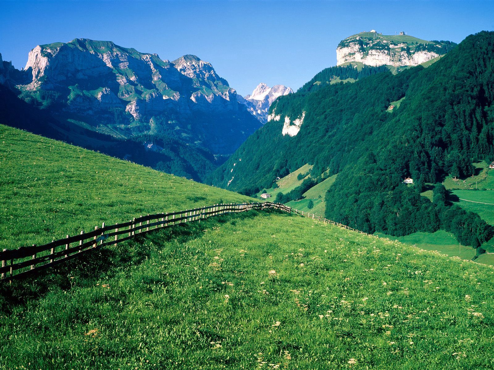 mountains, greens, trees, switzerland, nature, fence, meadows, slopes, pasture 5K