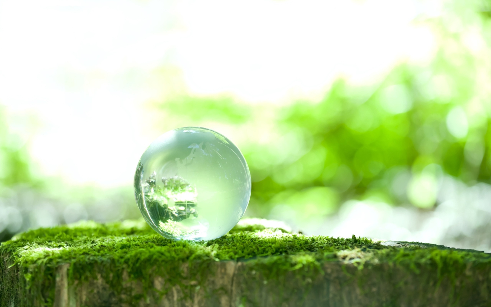 sphere, green, earth, spring, glass, marble, moss 1080p