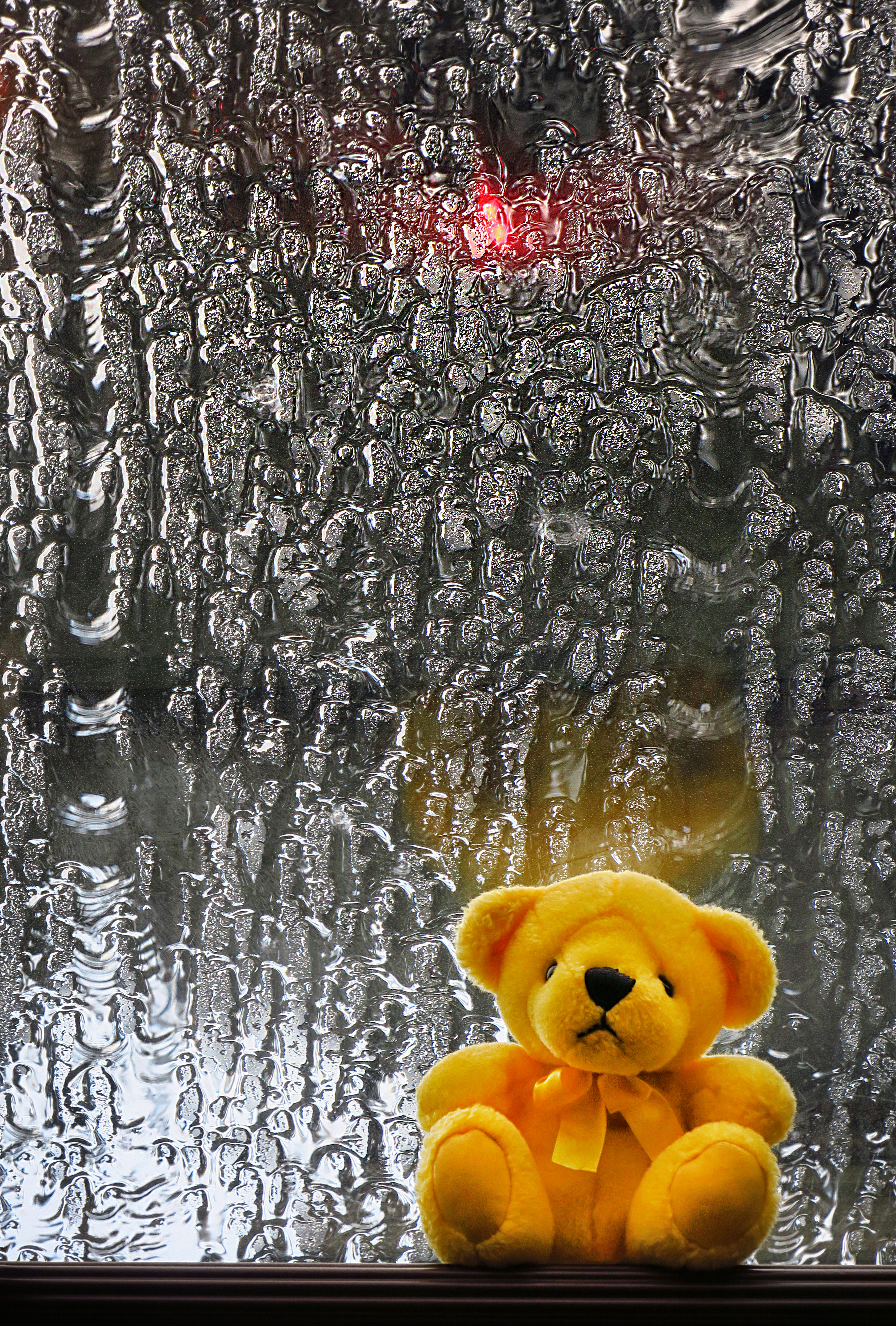 77484 download wallpaper teddy bear, miscellanea, miscellaneous, wet, plush, toy, window, bear cub screensavers and pictures for free