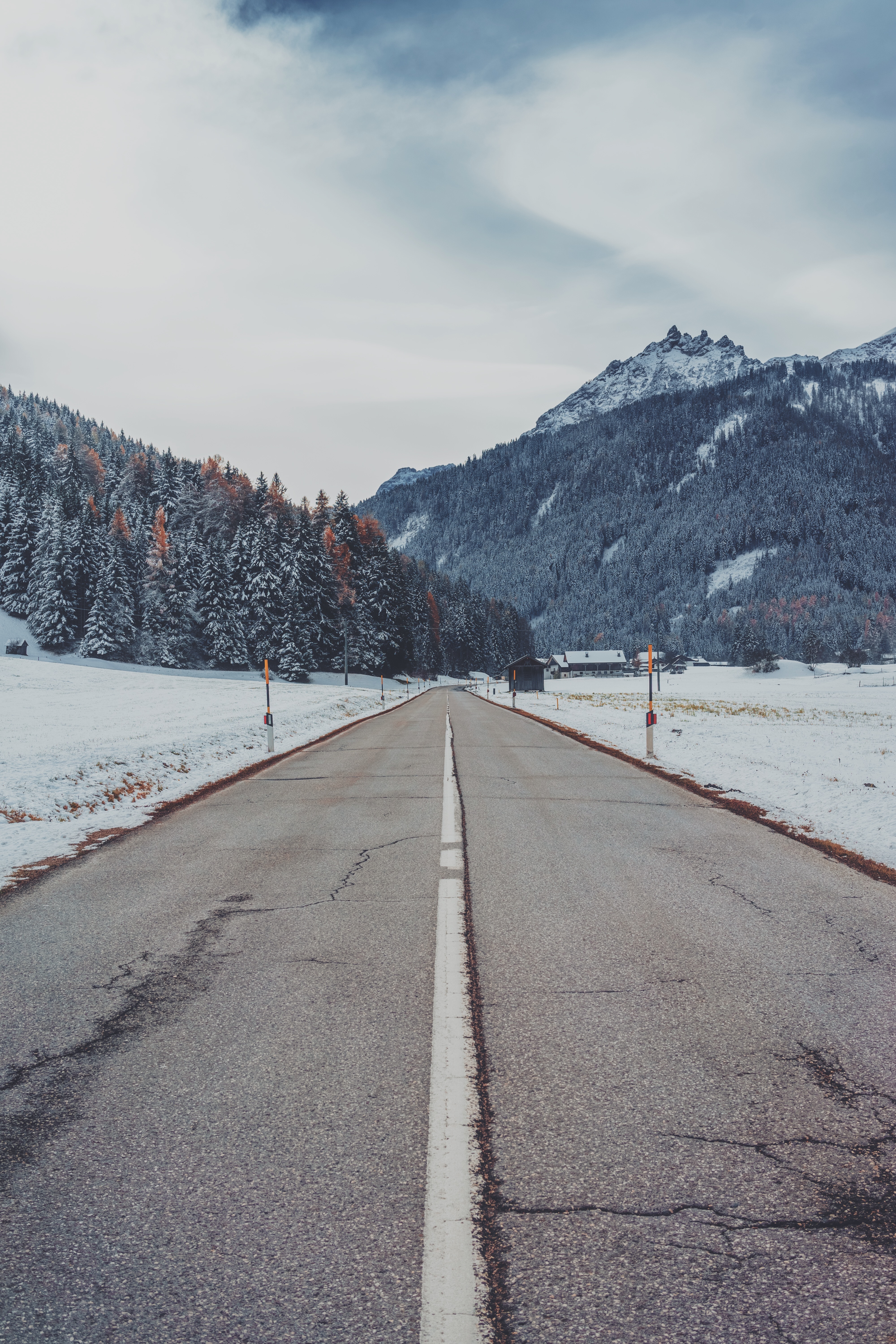 trees, markup, nature, mountains, snow, road