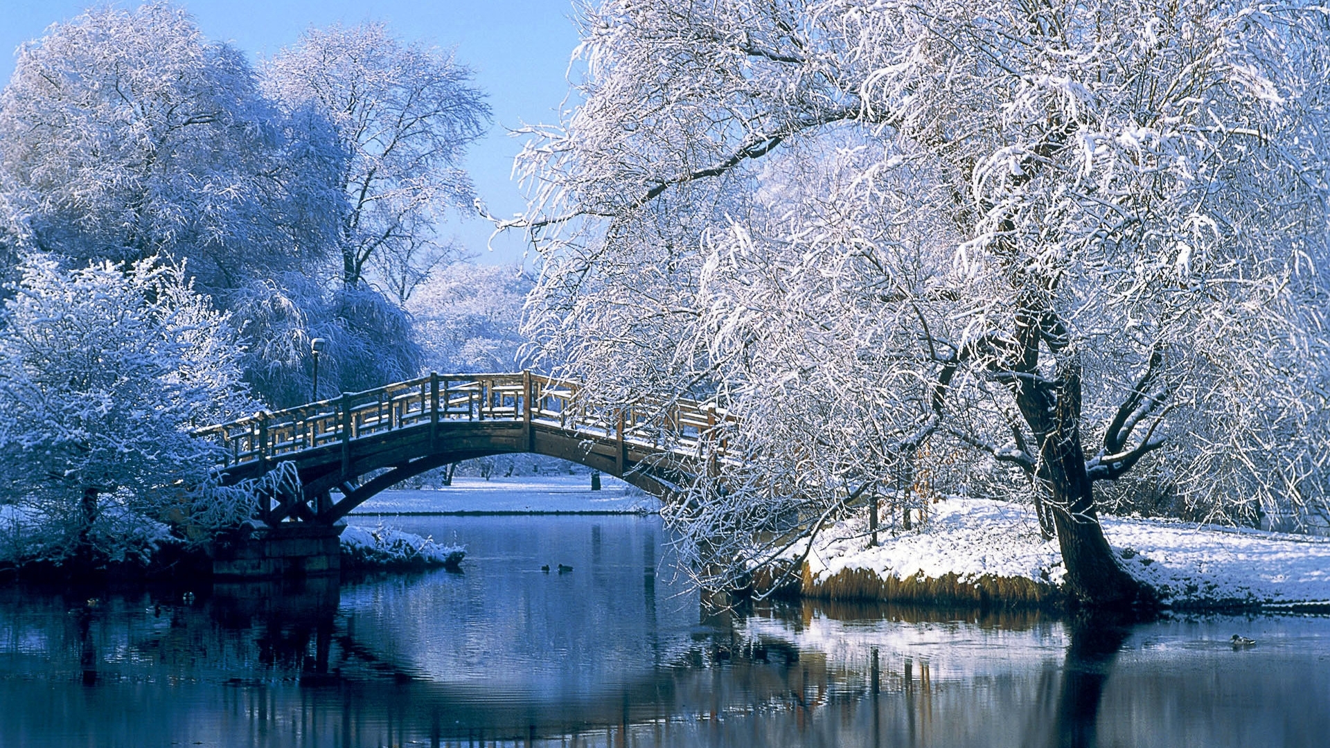 27433 скачать обои зима, пейзаж, мосты, деревья, река, синие - заставки и картинки бесплатно