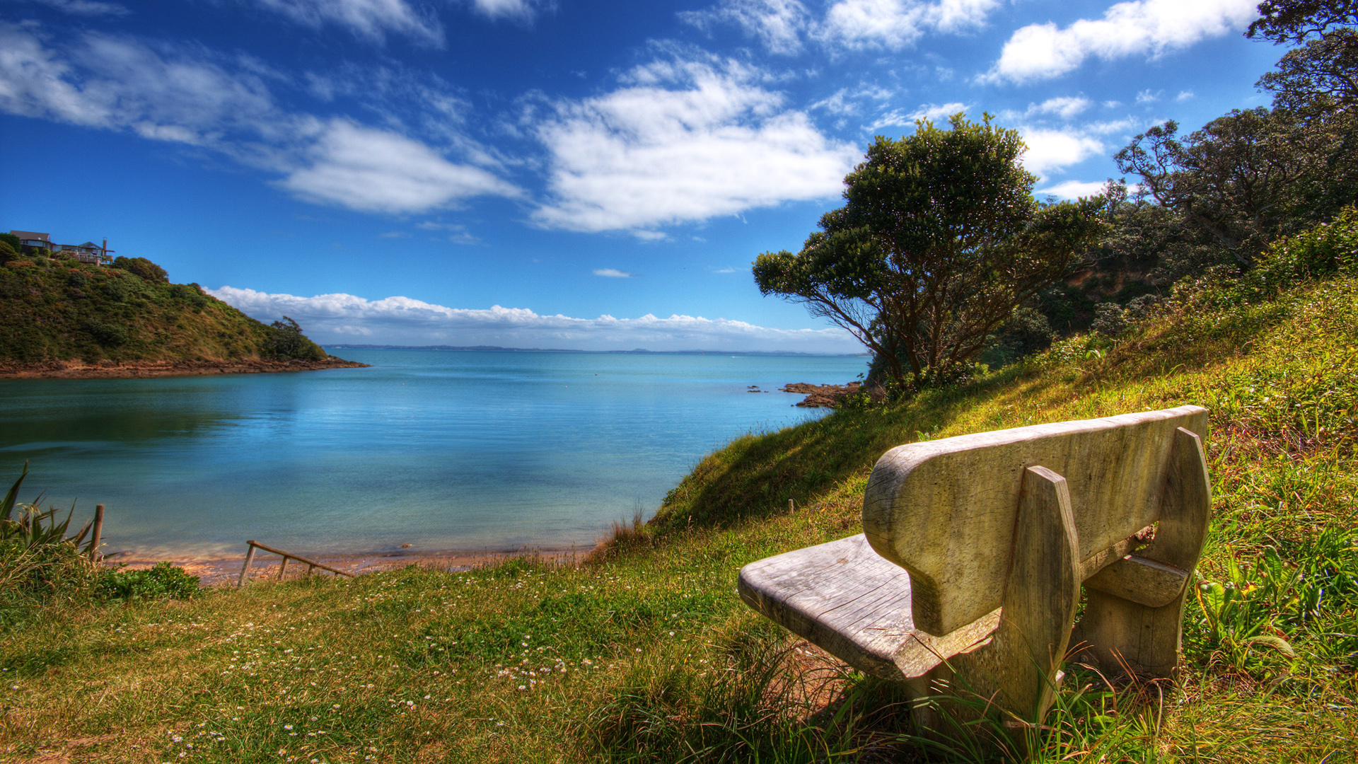 grass, earth, ocean, bench, cloud, landscape, shore, sky, tree, water HD wallpaper