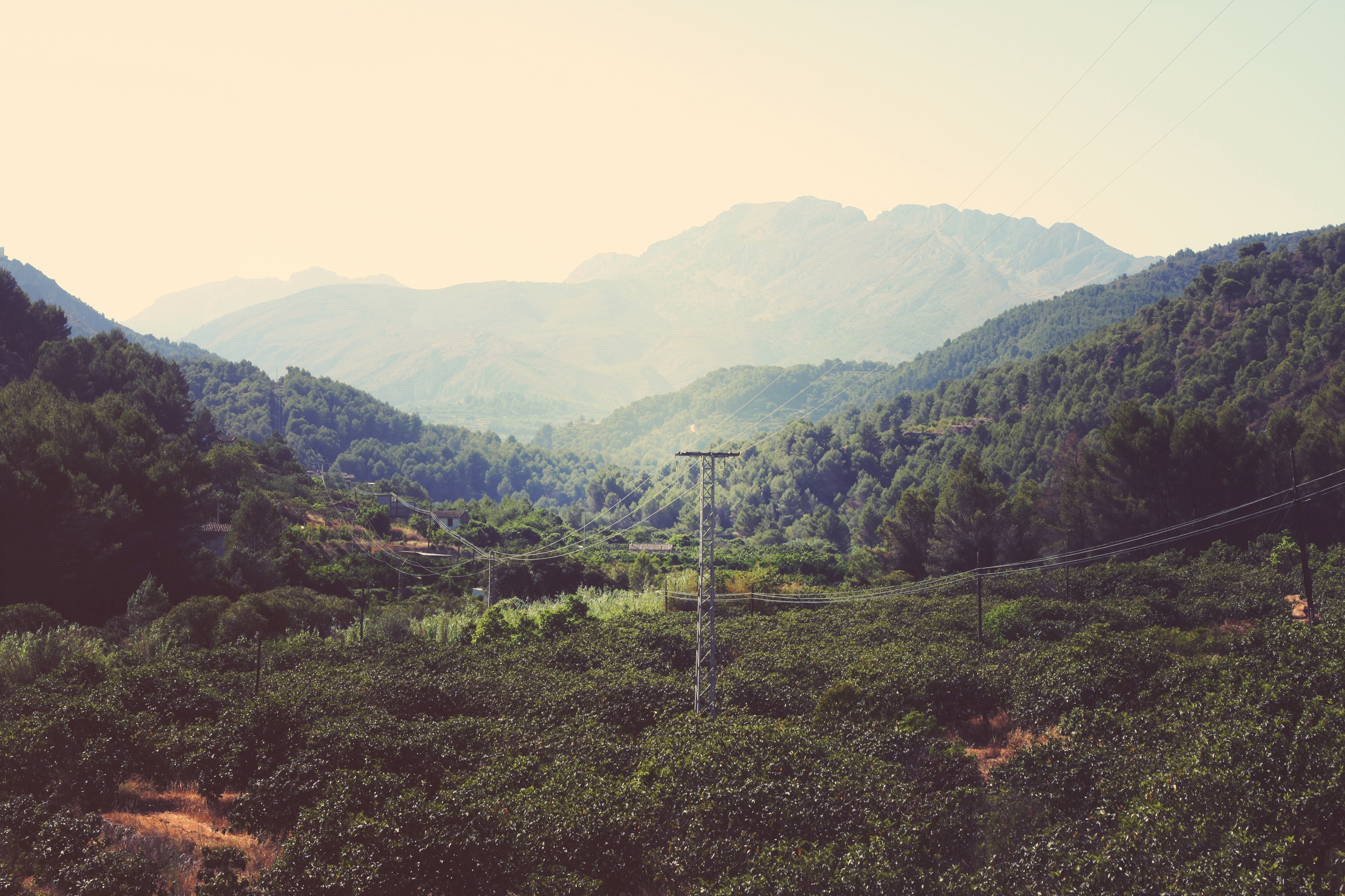 mountains, trees, nature, wire Full HD