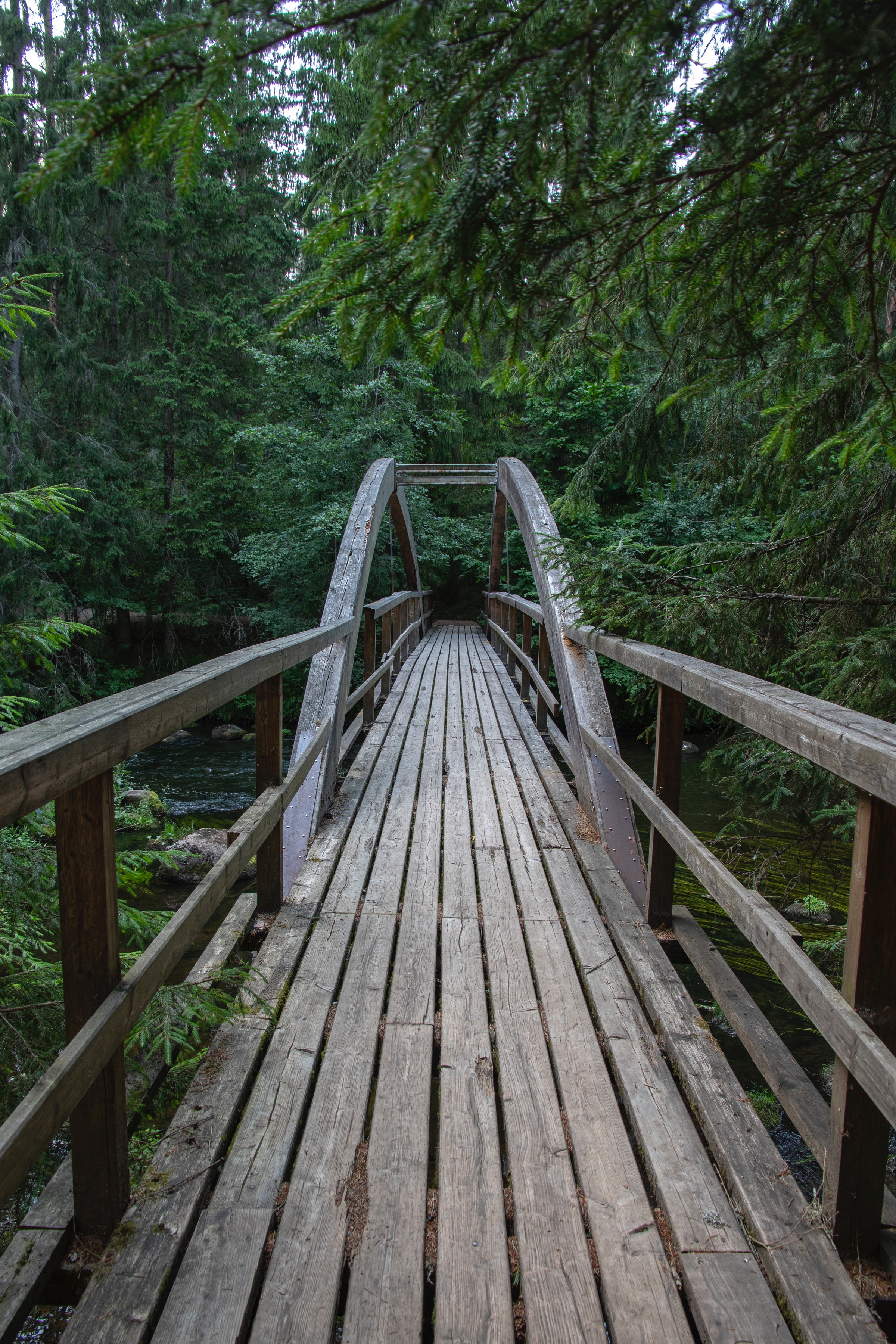 bridge, nature, trees, wood, wooden, forest, branches HD wallpaper