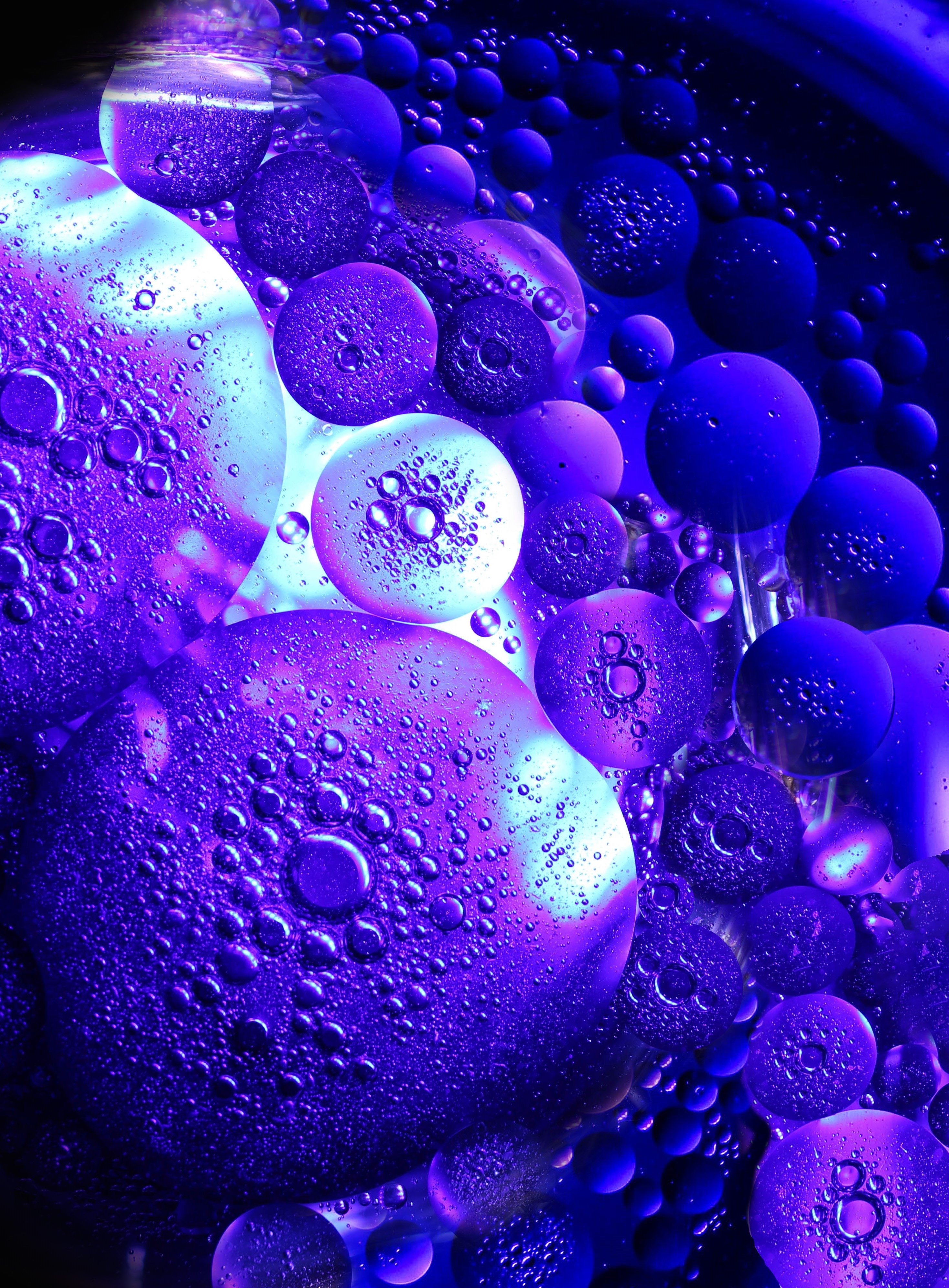 bubbles, drops, transparent, macro, dark, circles, structure, purple