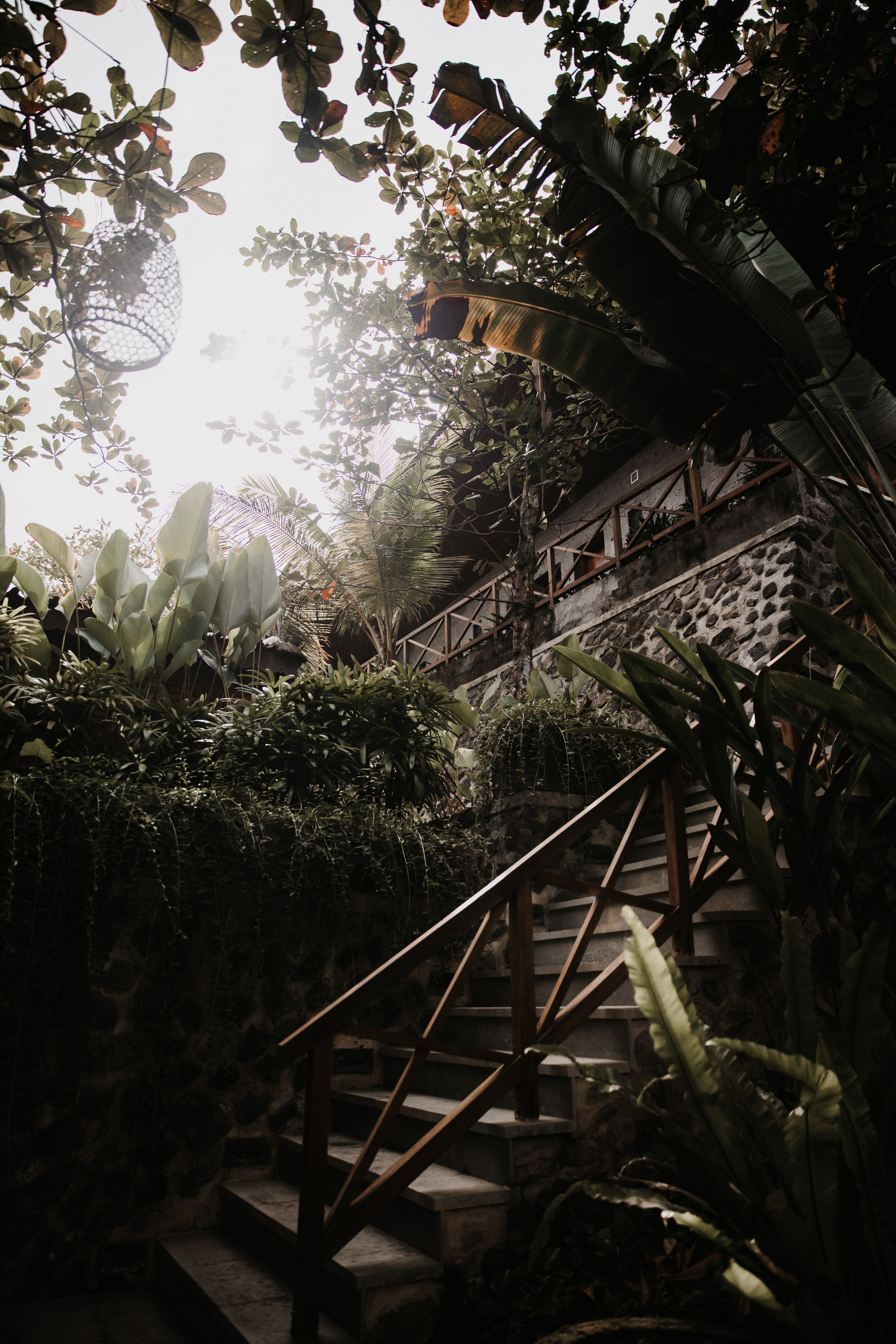 Stairs miscellaneous, plants, miscellanea, tropical 8k Backgrounds