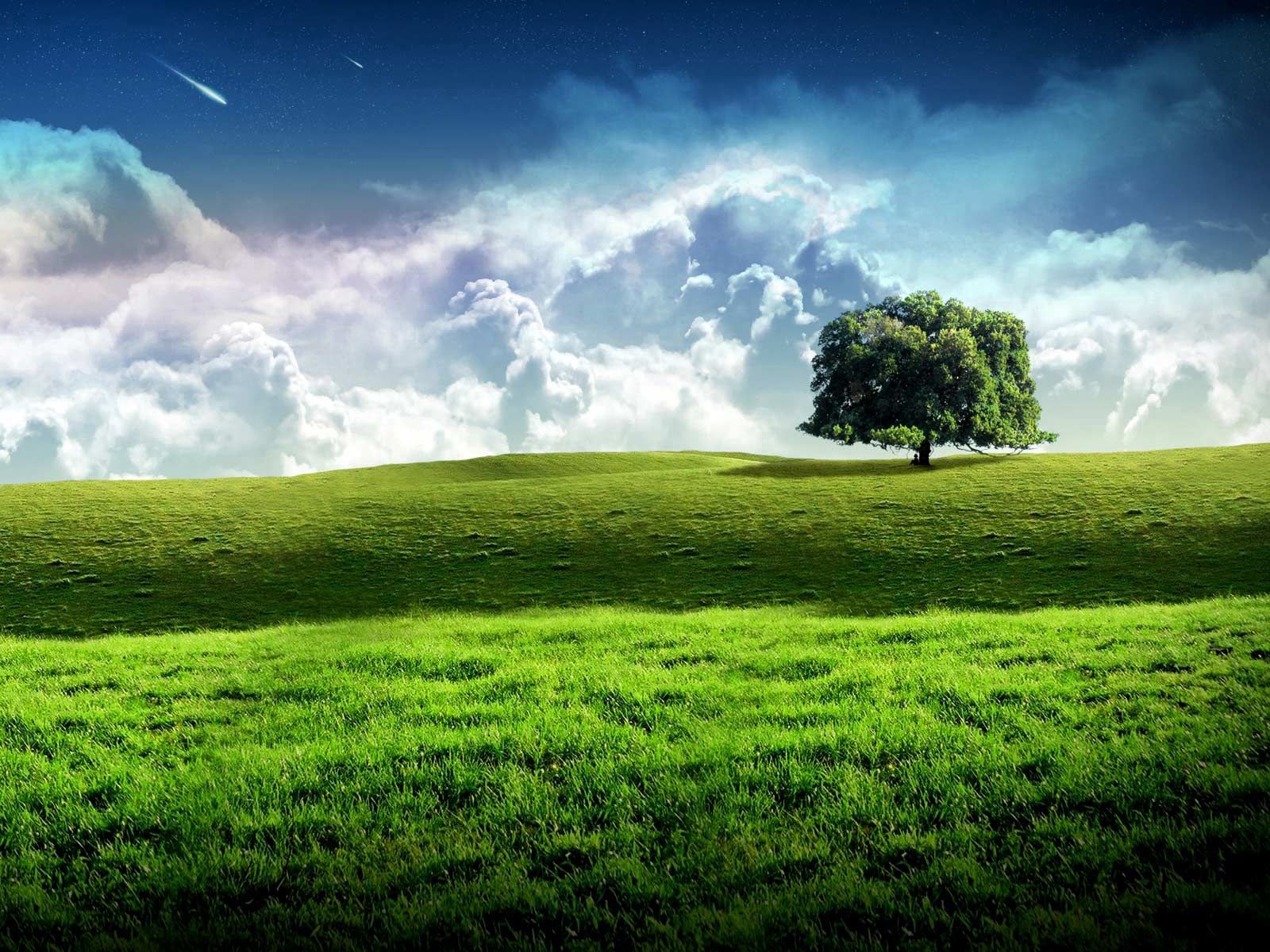 clouds, nature, grass, sky, stars, wood, tree, greens, meadow wallpaper for mobile