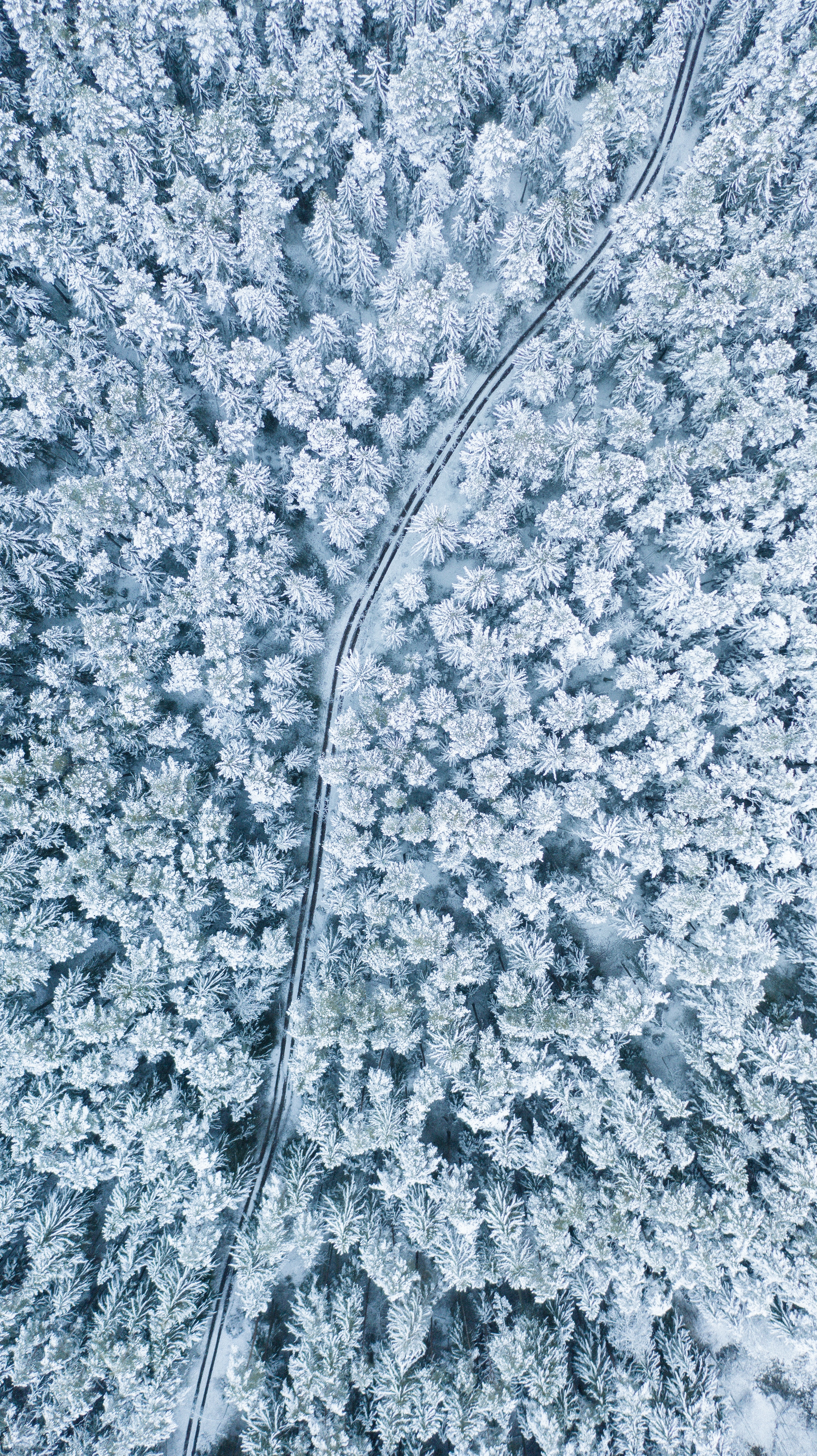 Winter view from above, snow, trees, forest Lock Screen