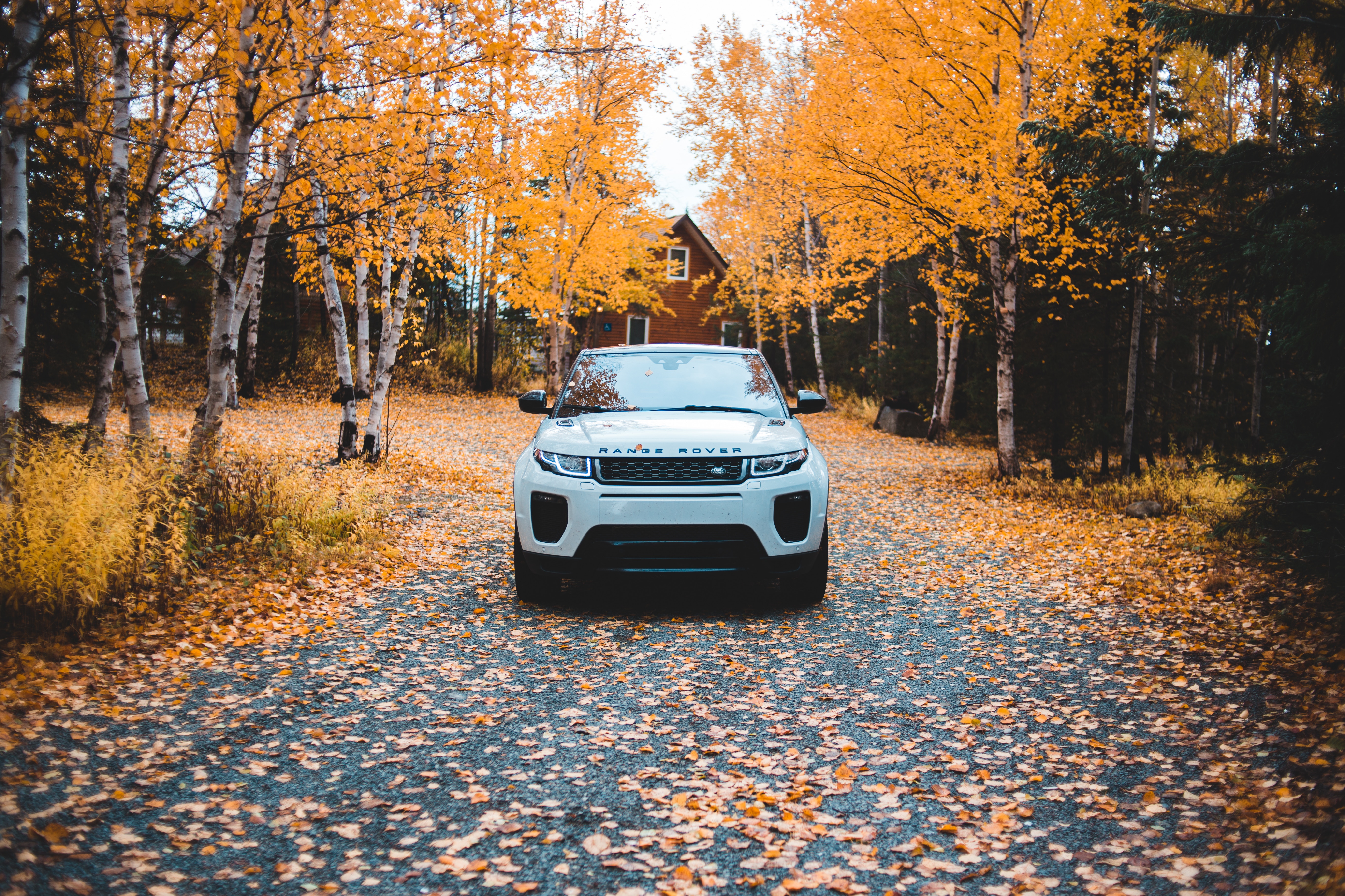 cars, range rover, front view, land rover, autumn, suv HD wallpaper