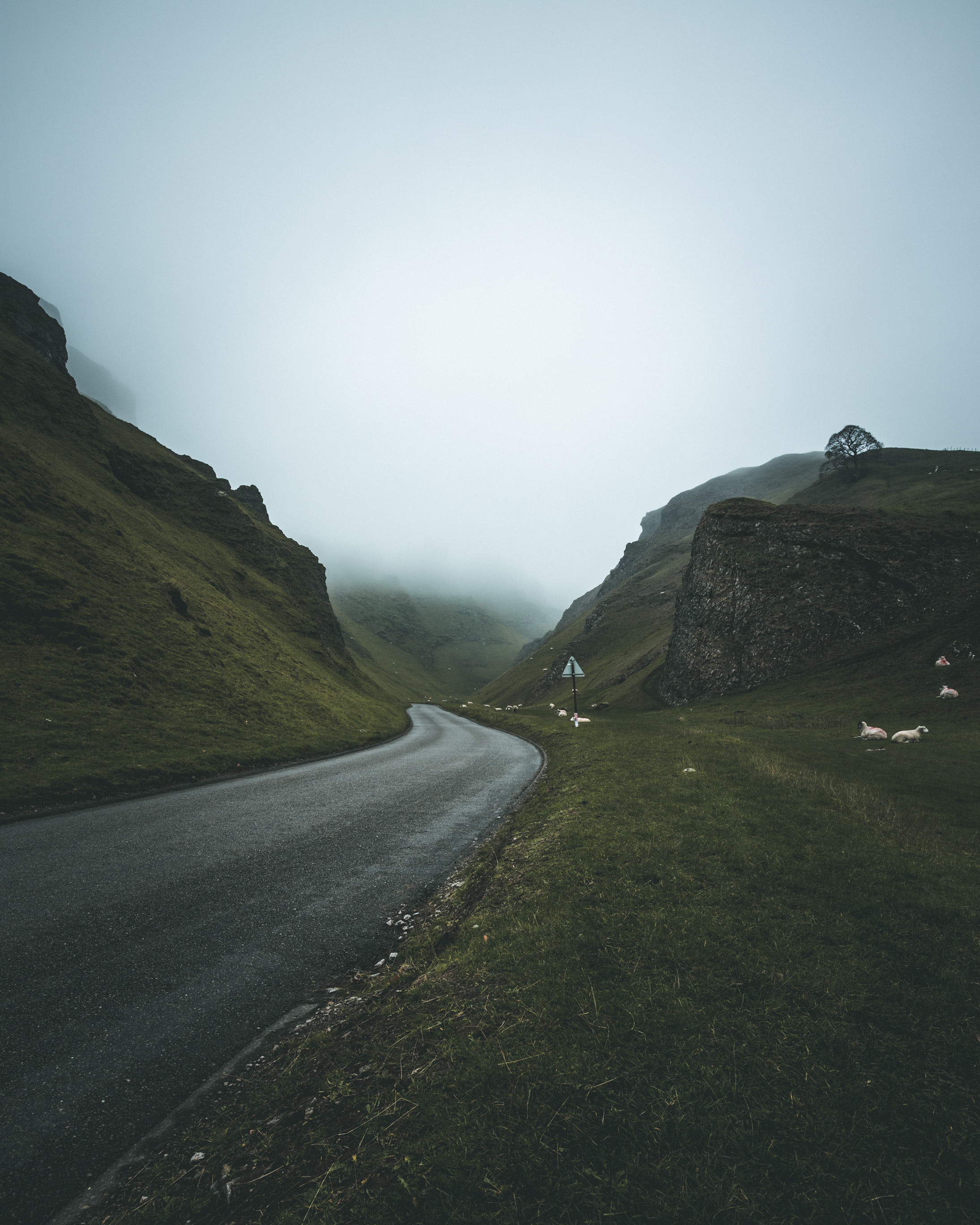 mountains, nature, road, turn, fog