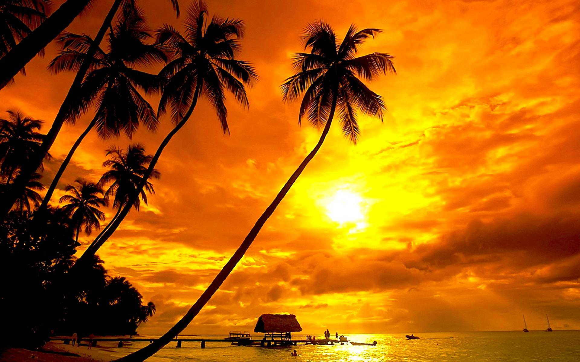 Phone Background Full HD pier, tropical, horizon, sunset