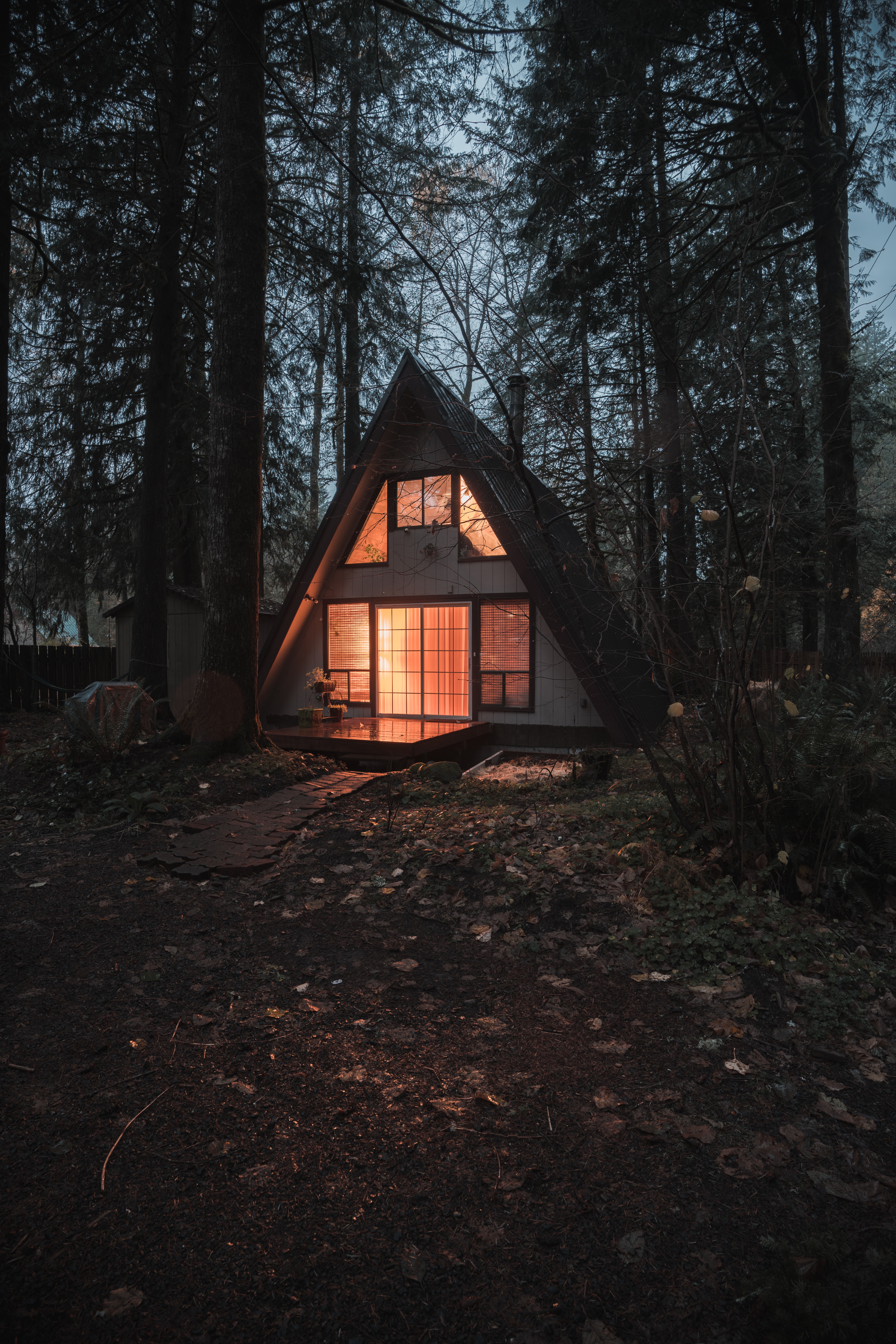 comfort, forest, trees, nature, house, coziness