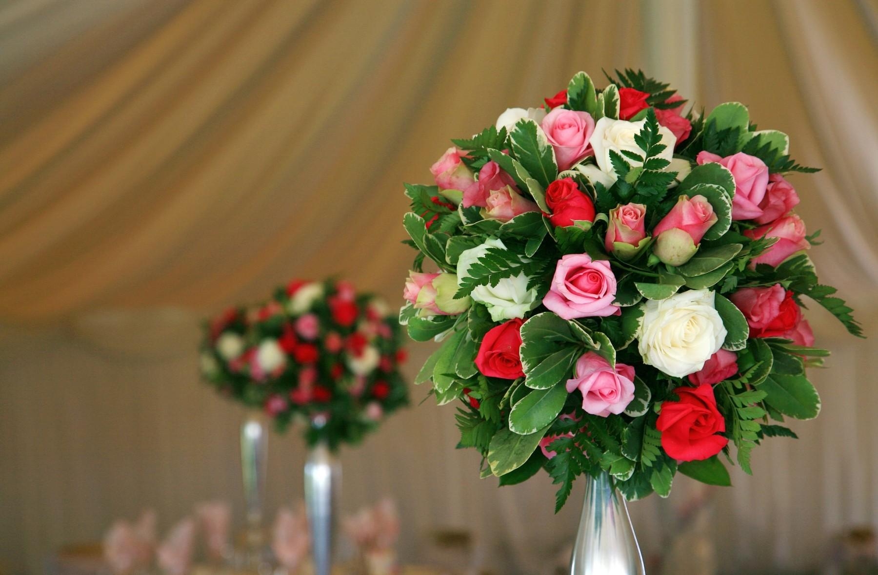 decoration, flowers, roses, registration, typography, bouquet