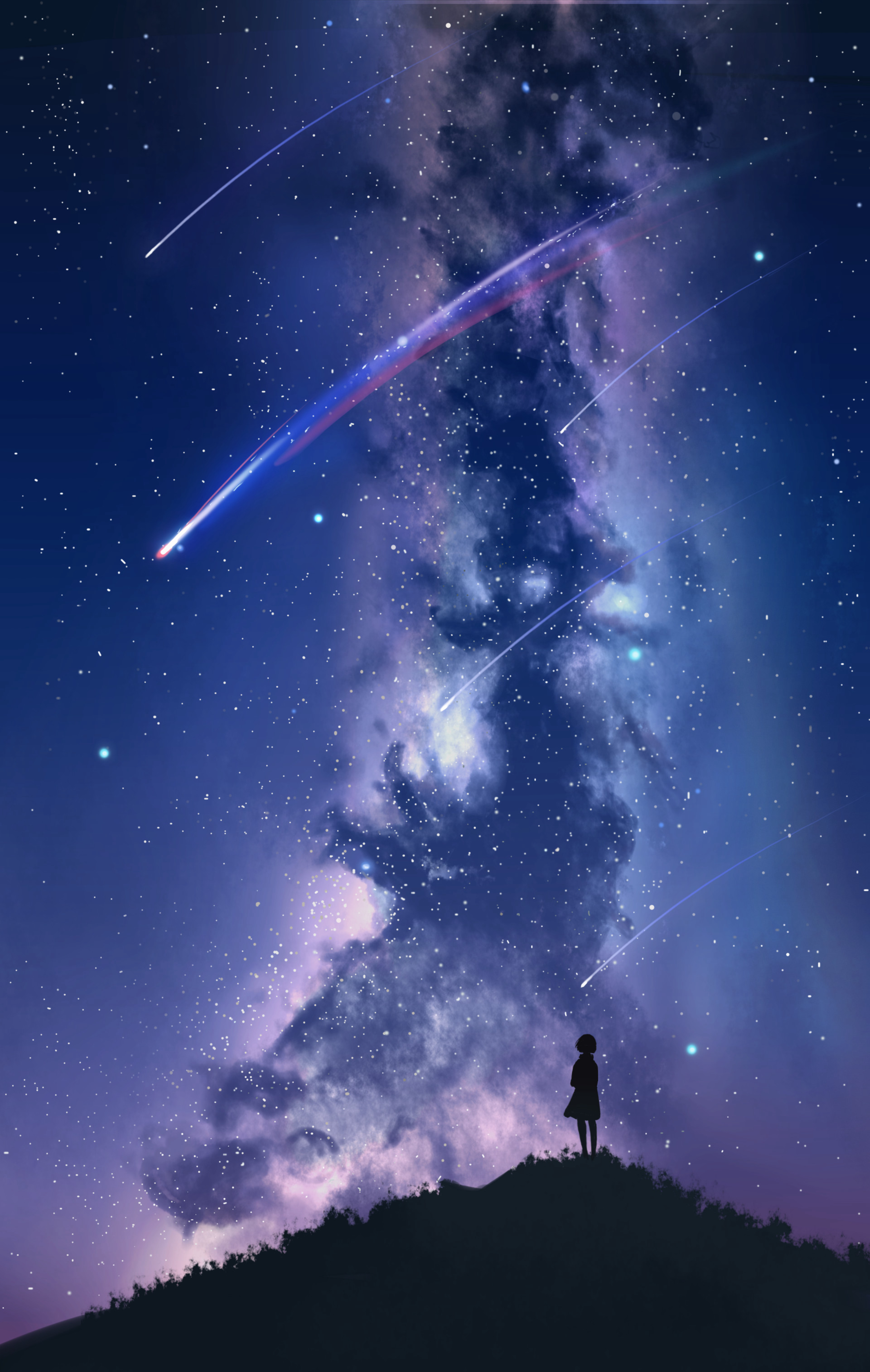 silhouette, starry sky, art 3d Wallpaper