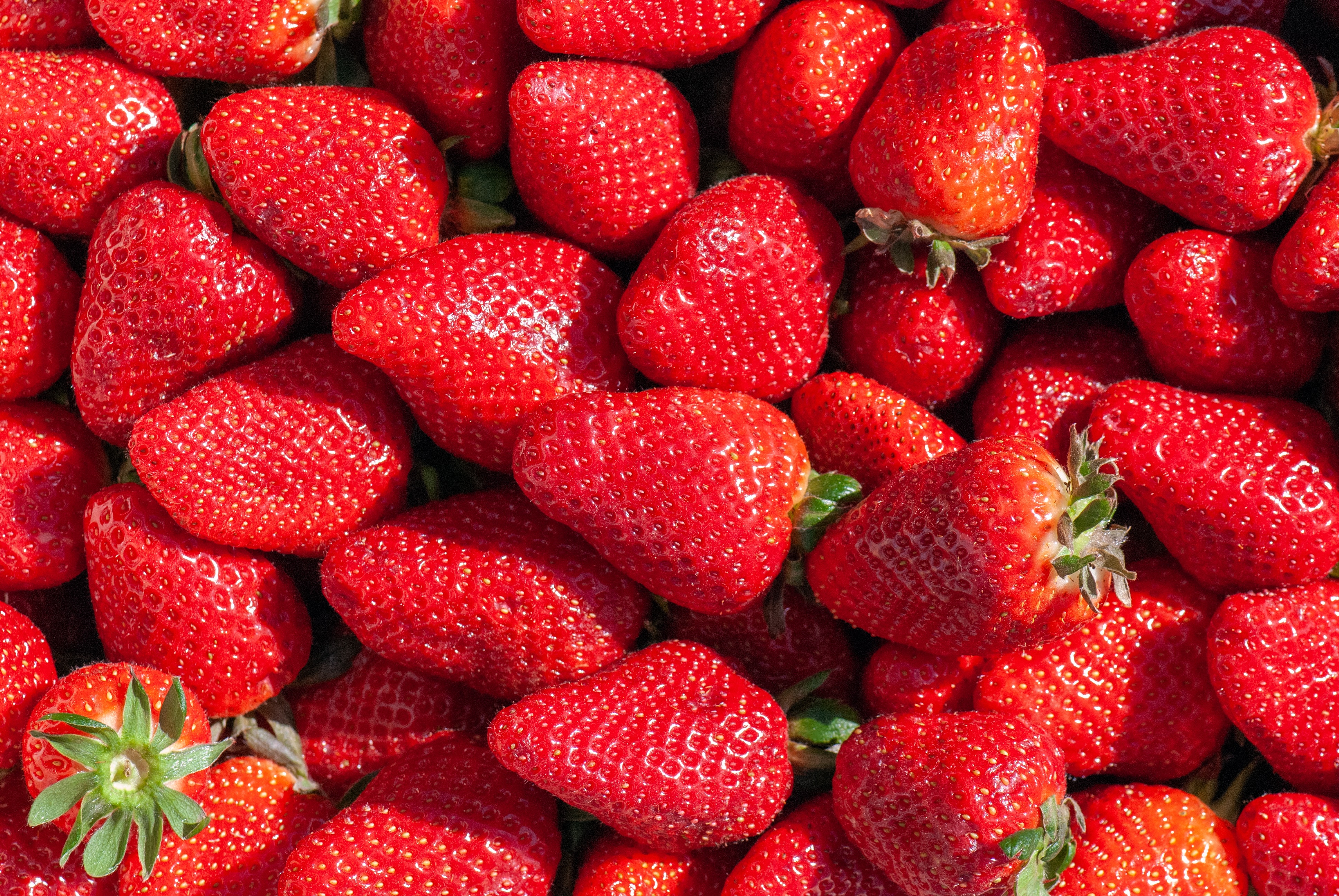 Smartphone Background red, food, fruit, berry
