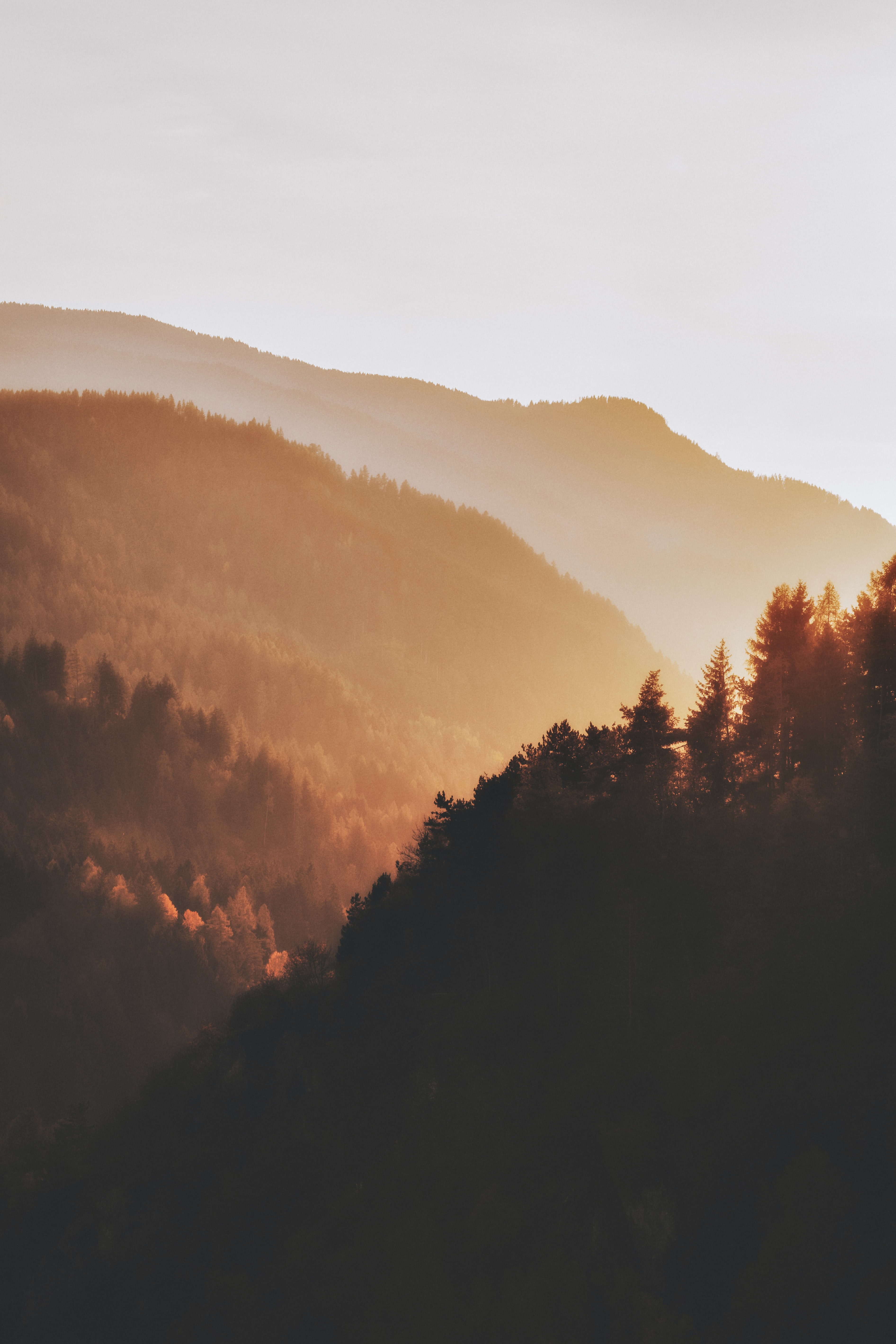 sunset, nature, trees, forest, hills for android