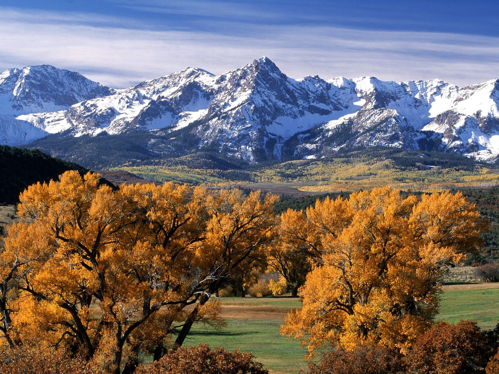 Handy-Wallpaper Natur, Bäume, Mountains, Herbst, Krone, Oberteile, Scheitelpunkt, Kronen, Colorado kostenlos herunterladen.