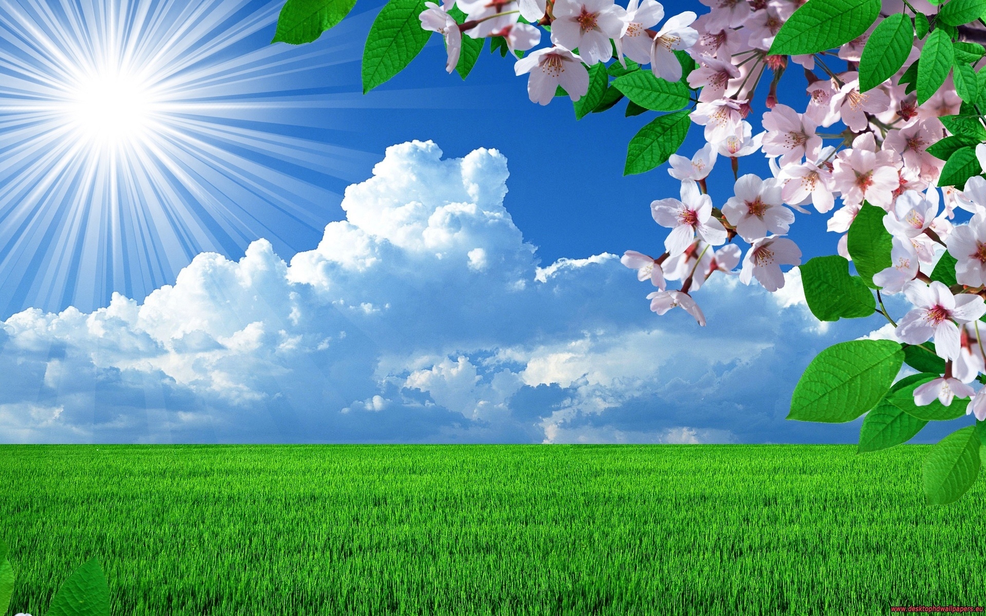 Laden Sie das Landschaft, Blumen, Bäume, Felder, Clouds-Bild kostenlos auf Ihren PC-Desktop herunter