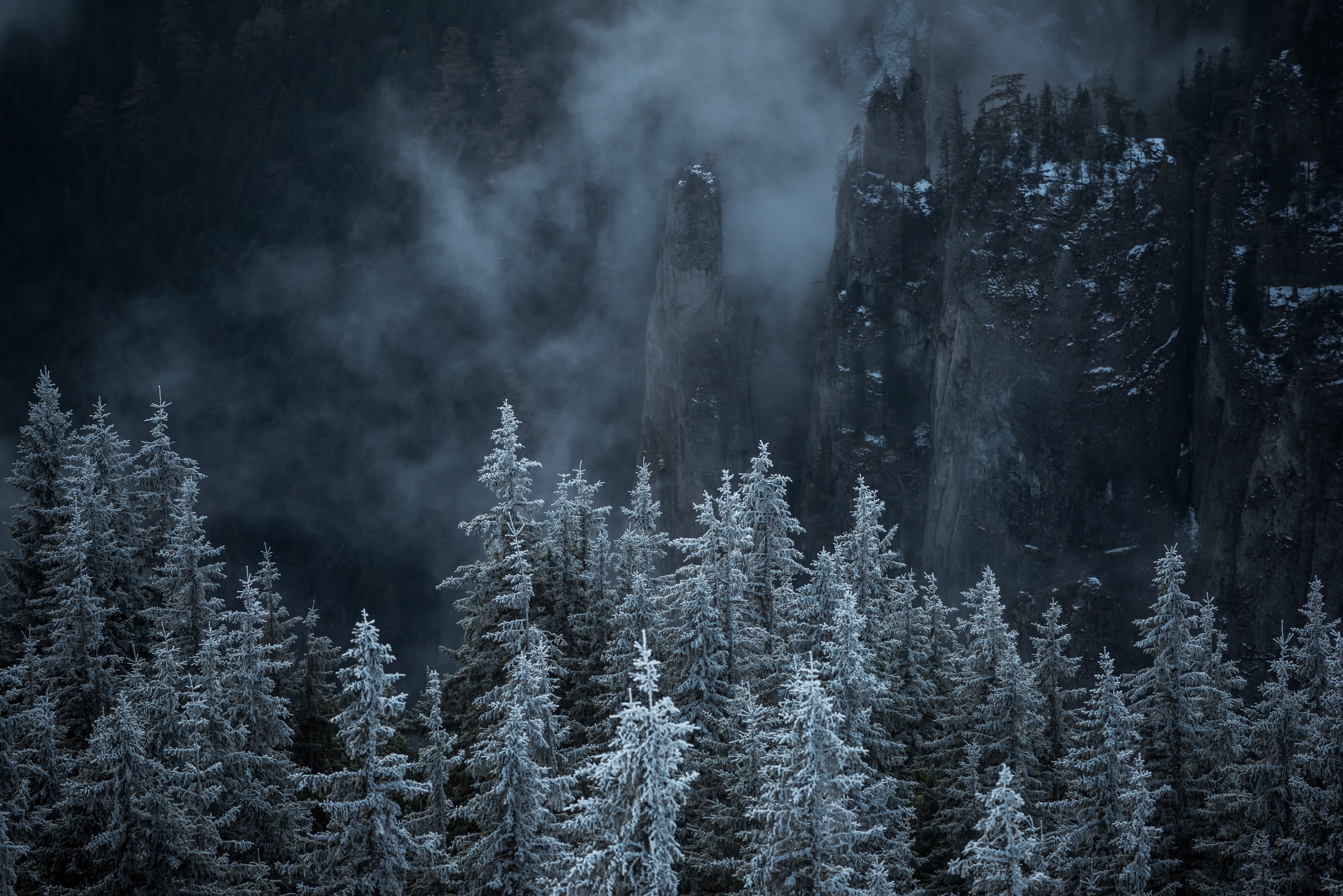 156469 Salvapantallas y fondos de pantalla Las Rocas en tu teléfono. Descarga imágenes de paisaje, niebla, árboles, naturaleza gratis