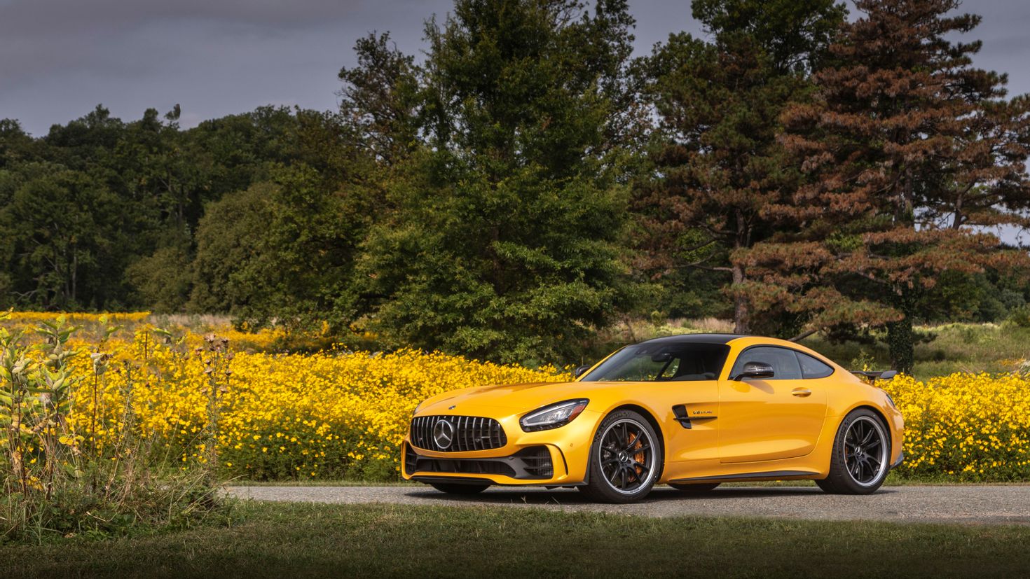 Мерседес amg gt фото