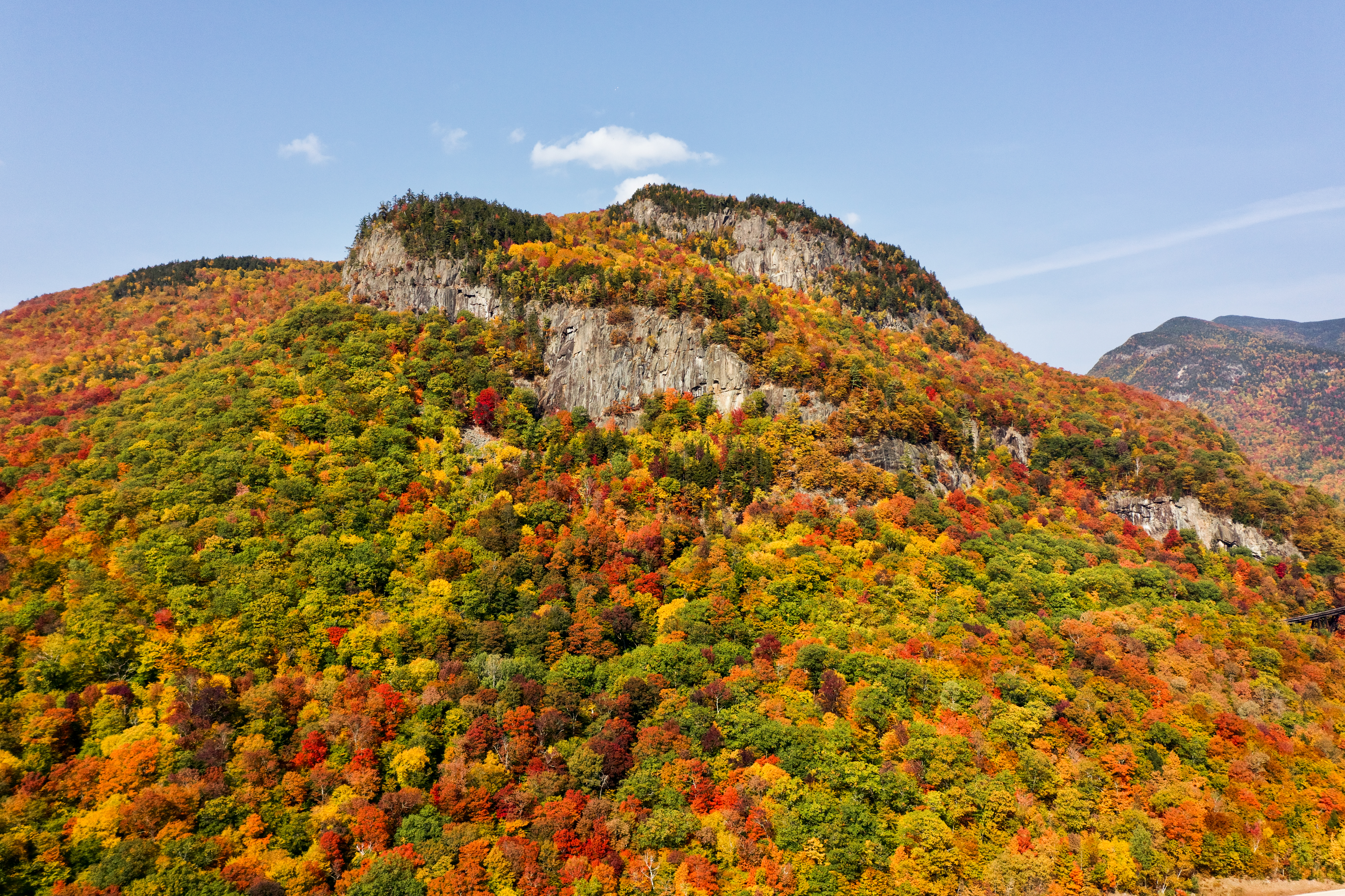 autumn, landscape, nature, mountain, forest, slope mobile wallpaper