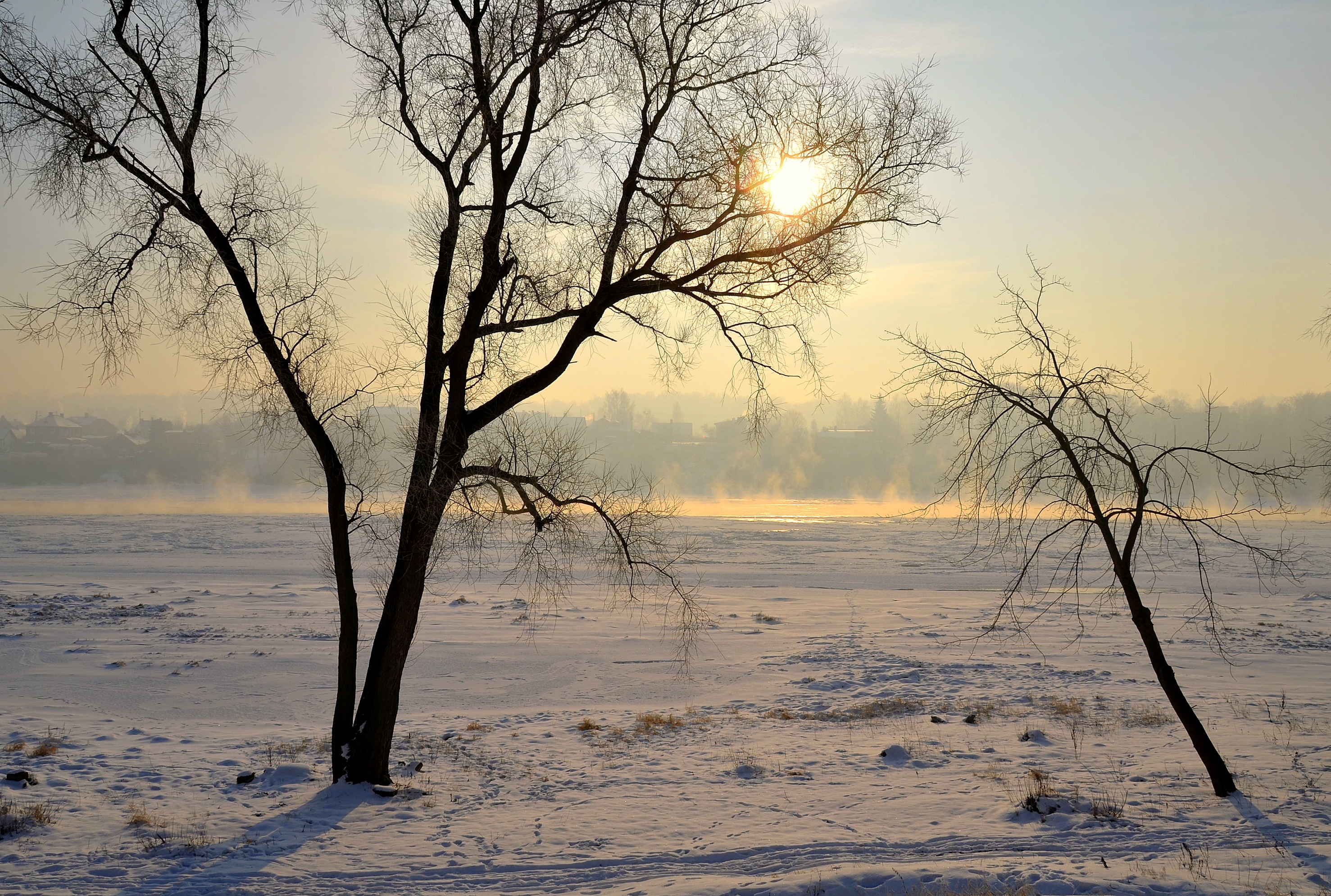 Laden Sie das Natur, Bäume, Schnee, Scheinen, Licht, Litauen, Haze, Dunst, Polyana, Glade, Kaunas-Bild kostenlos auf Ihren PC-Desktop herunter