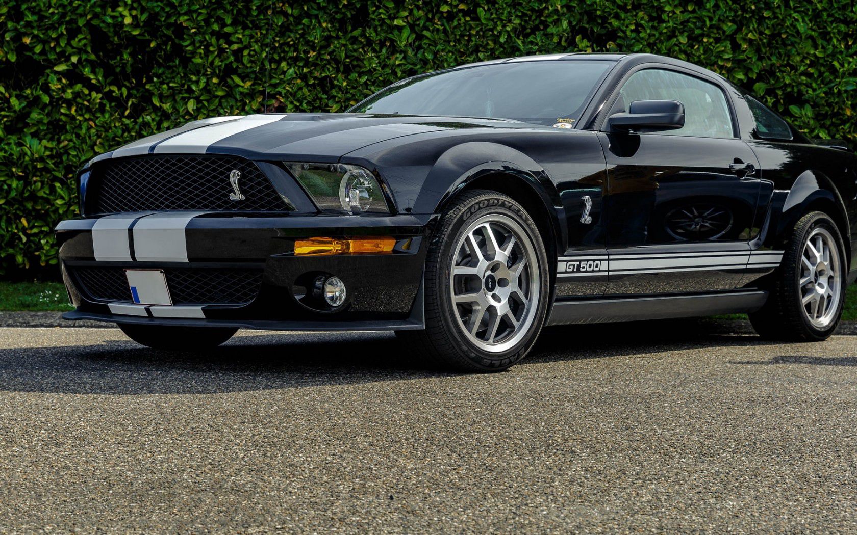 150558 download wallpaper cars, side view, gt500, shelby screensavers and pictures for free
