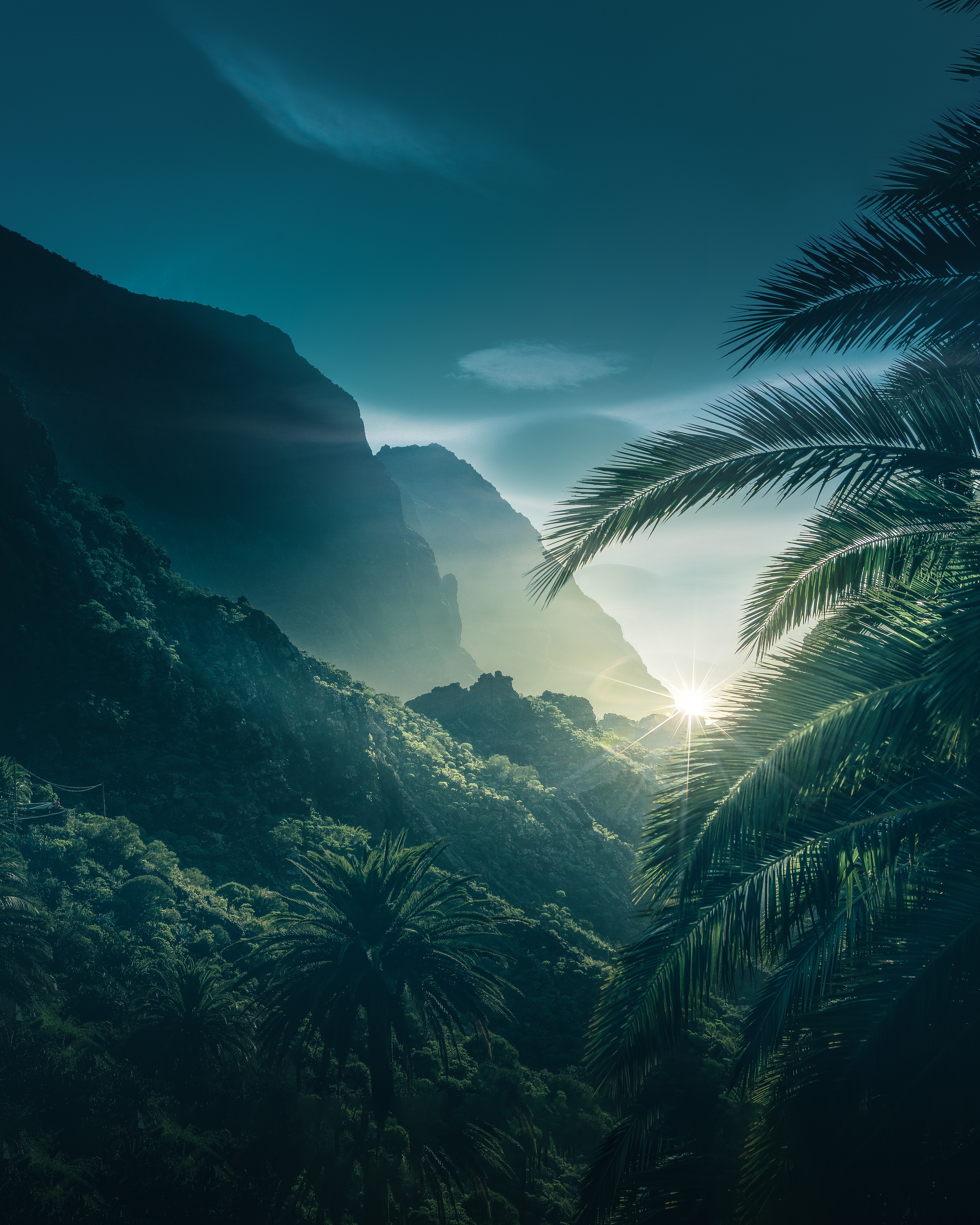 nature, mountains, sky, palms, sunlight download HD wallpaper