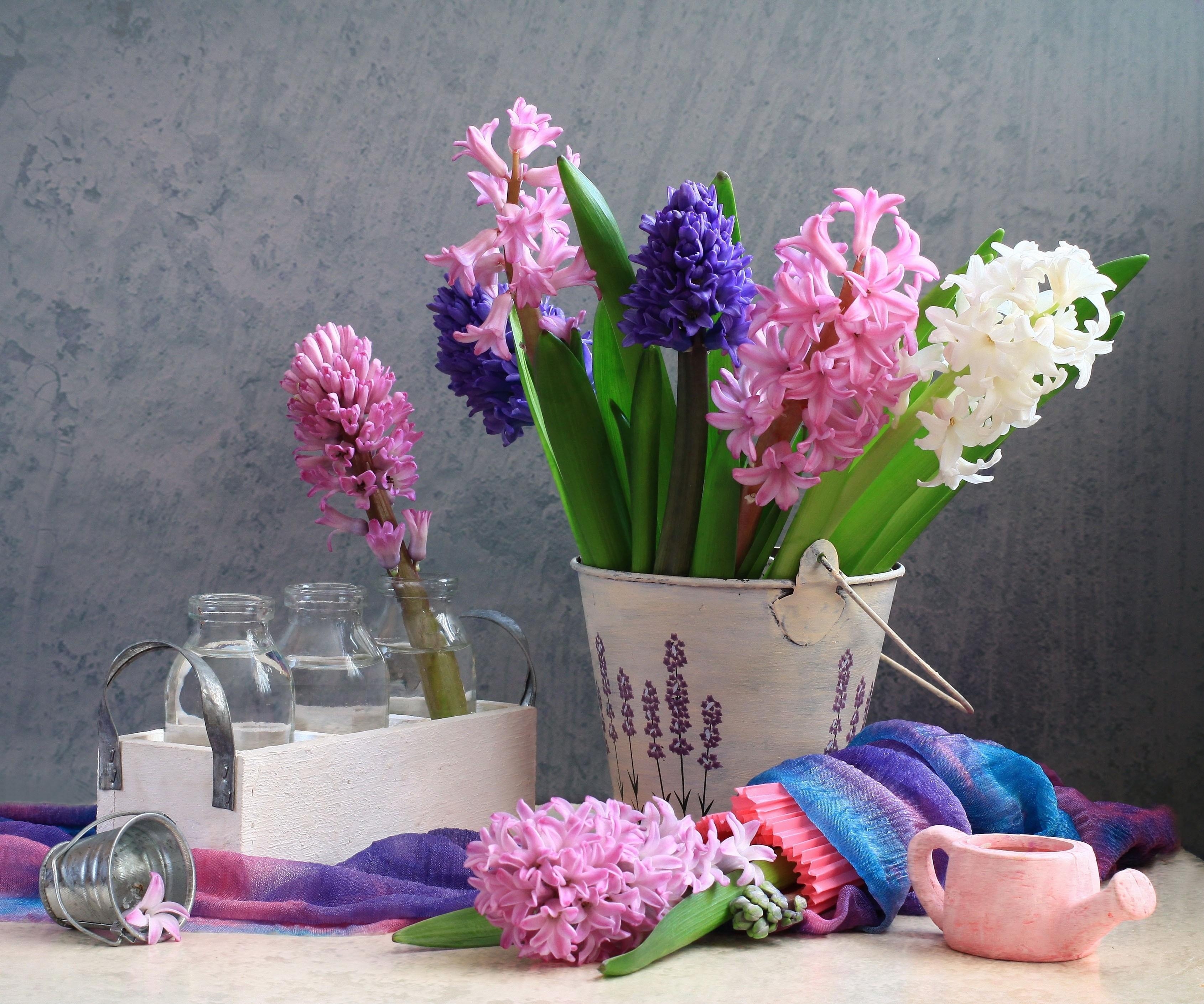still life, spring, flowers, bottle, bottles, hyacinths, bucket, watering can phone wallpaper