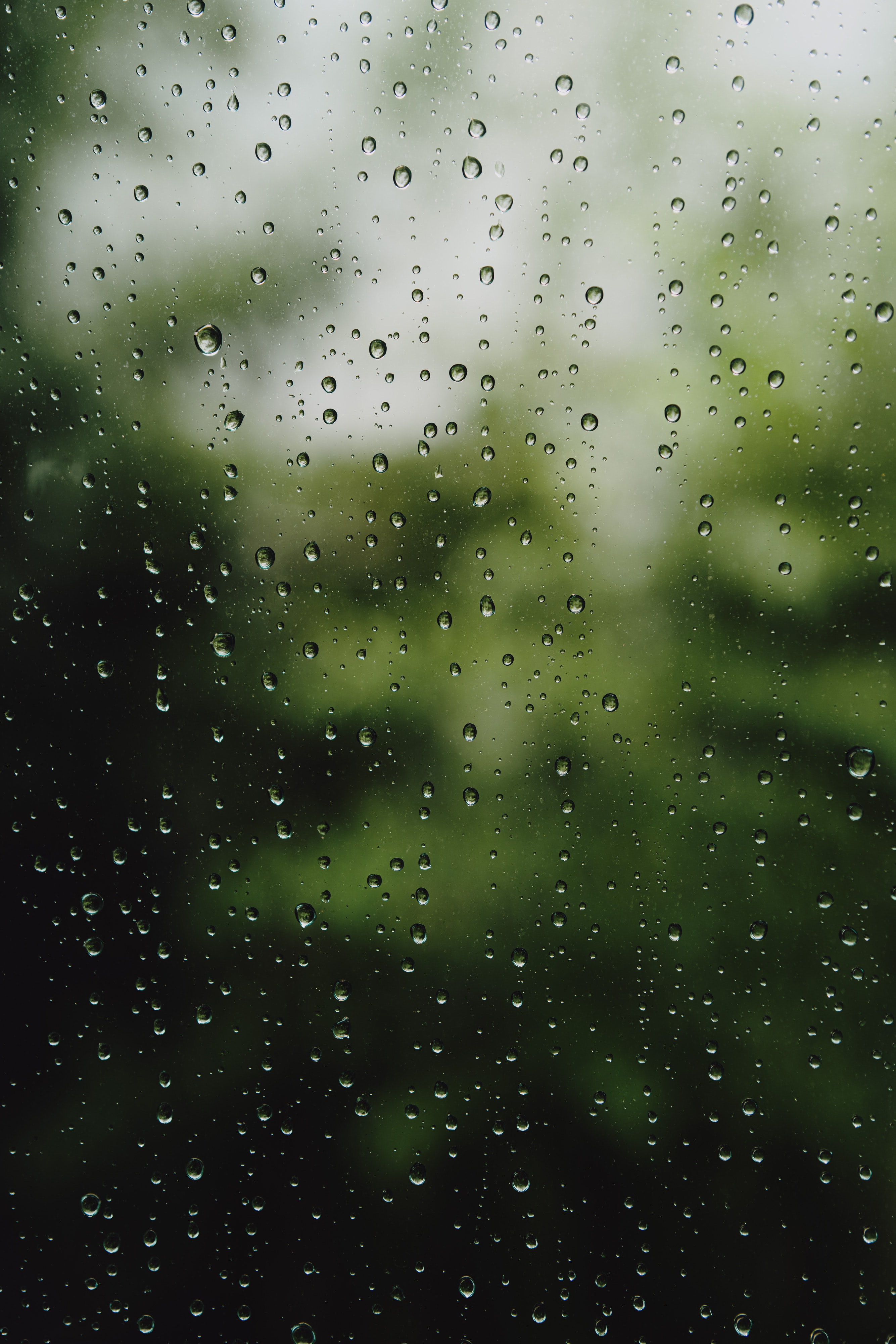 drops, rain, glass, macro, wet, surface Phone Background