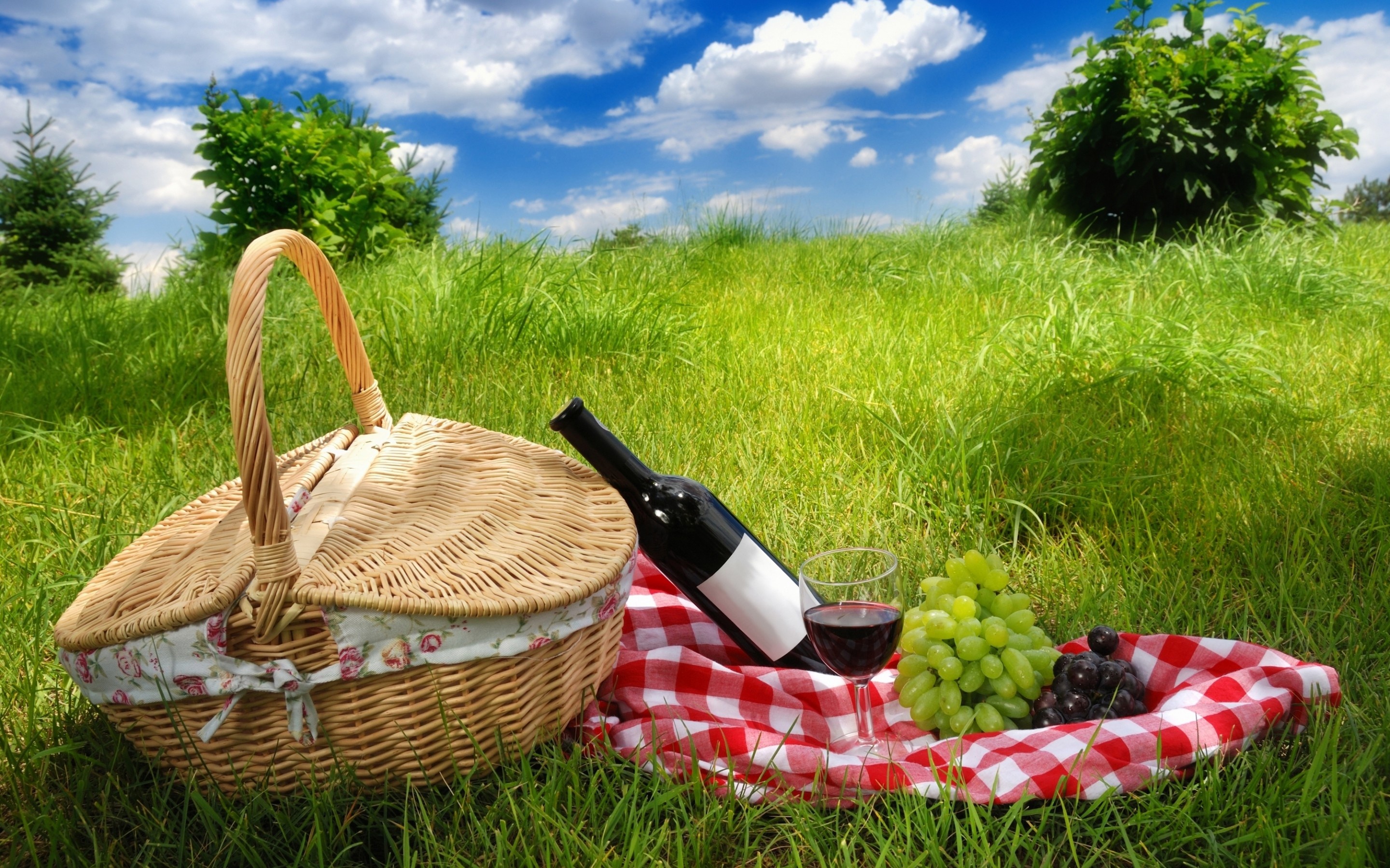 picnic, food, basket, grapes, grass, picnic basket, still life, wine