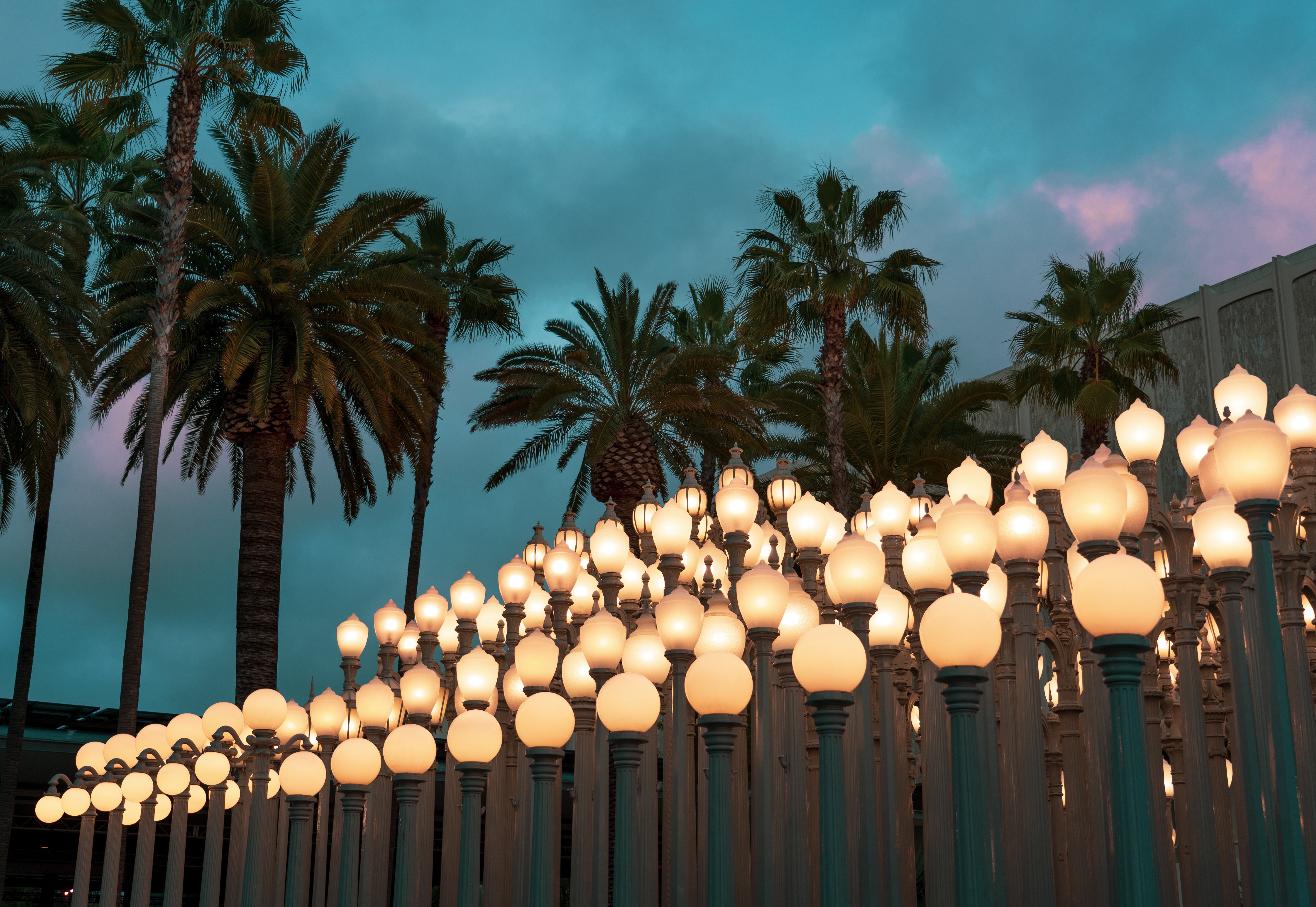 lanterns, sky, twilight, clouds, palms, lights, miscellanea, miscellaneous, dusk Free Stock Photo
