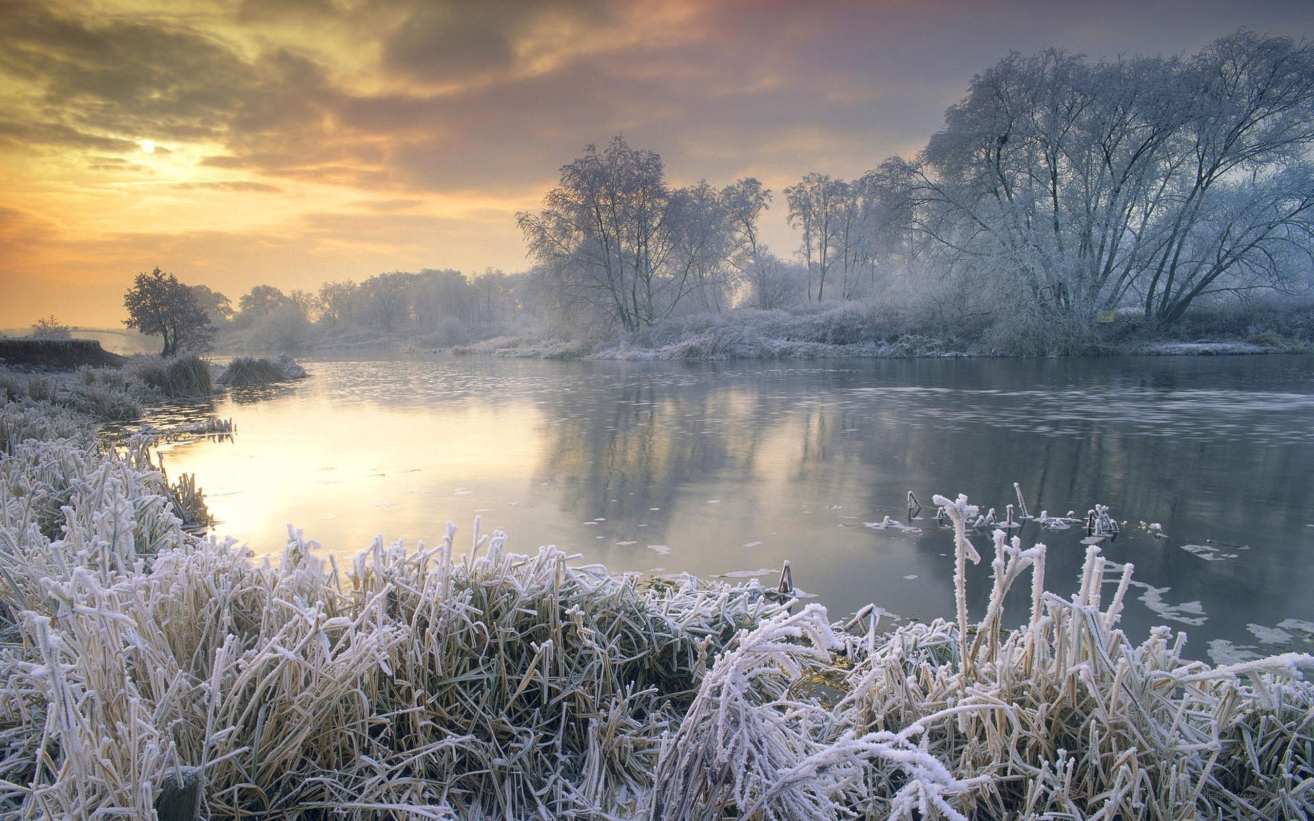 winter, ice, frost, nature, sunrise, earth, england, lake, tree, water cellphone