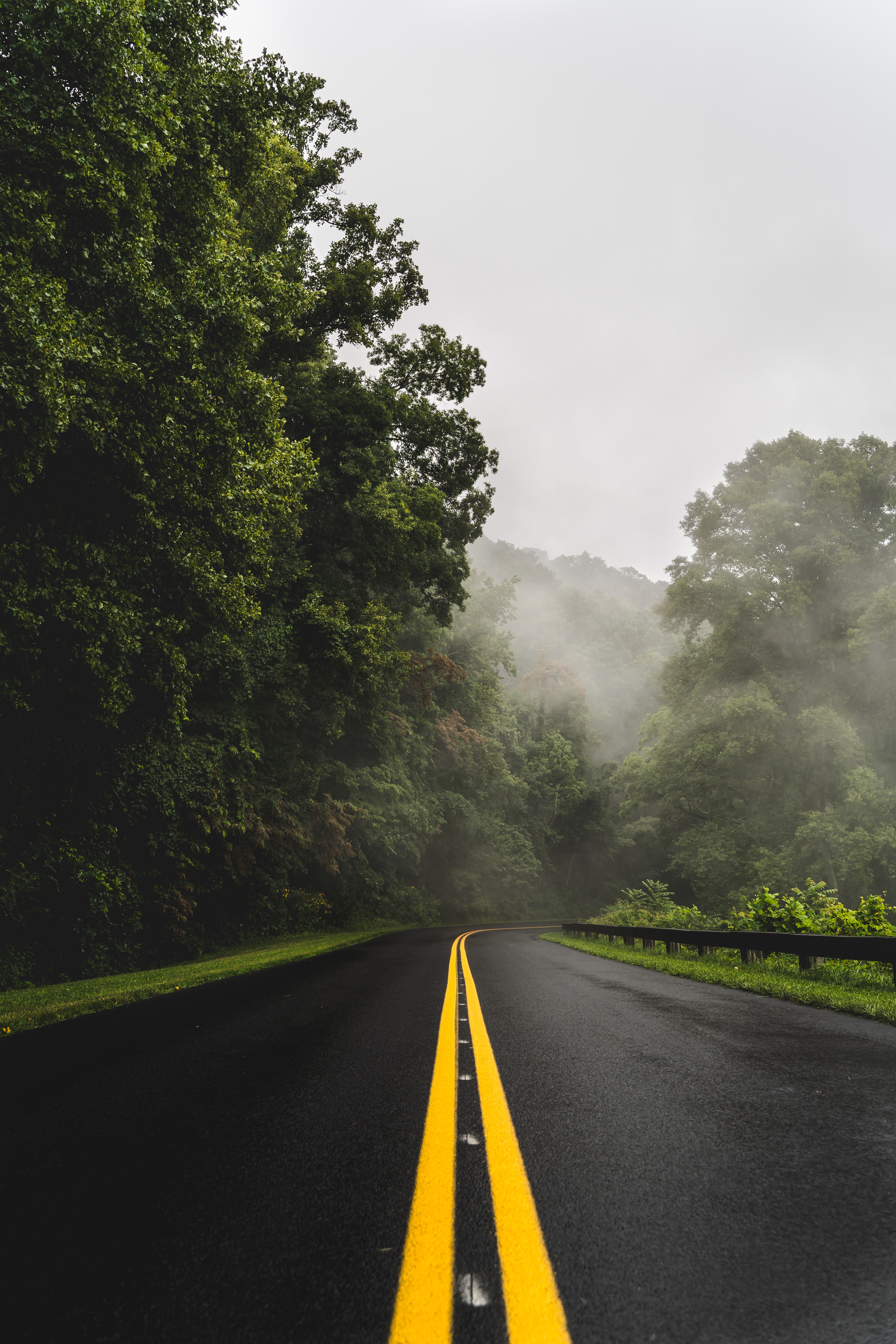 nature, fog, asphalt, trees, road, turn High Definition image