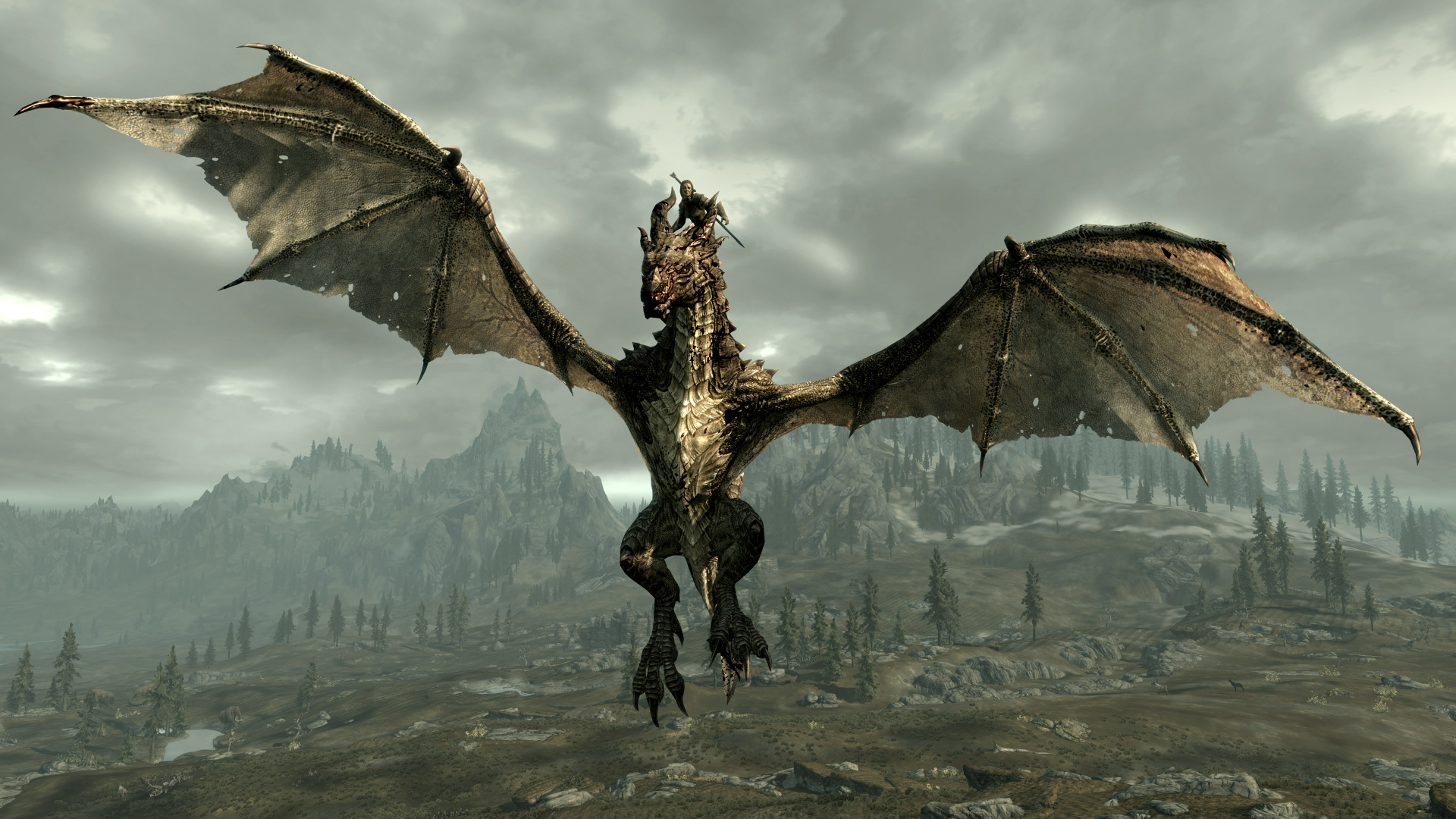 The Elder Scrolls v Skyrim драконы