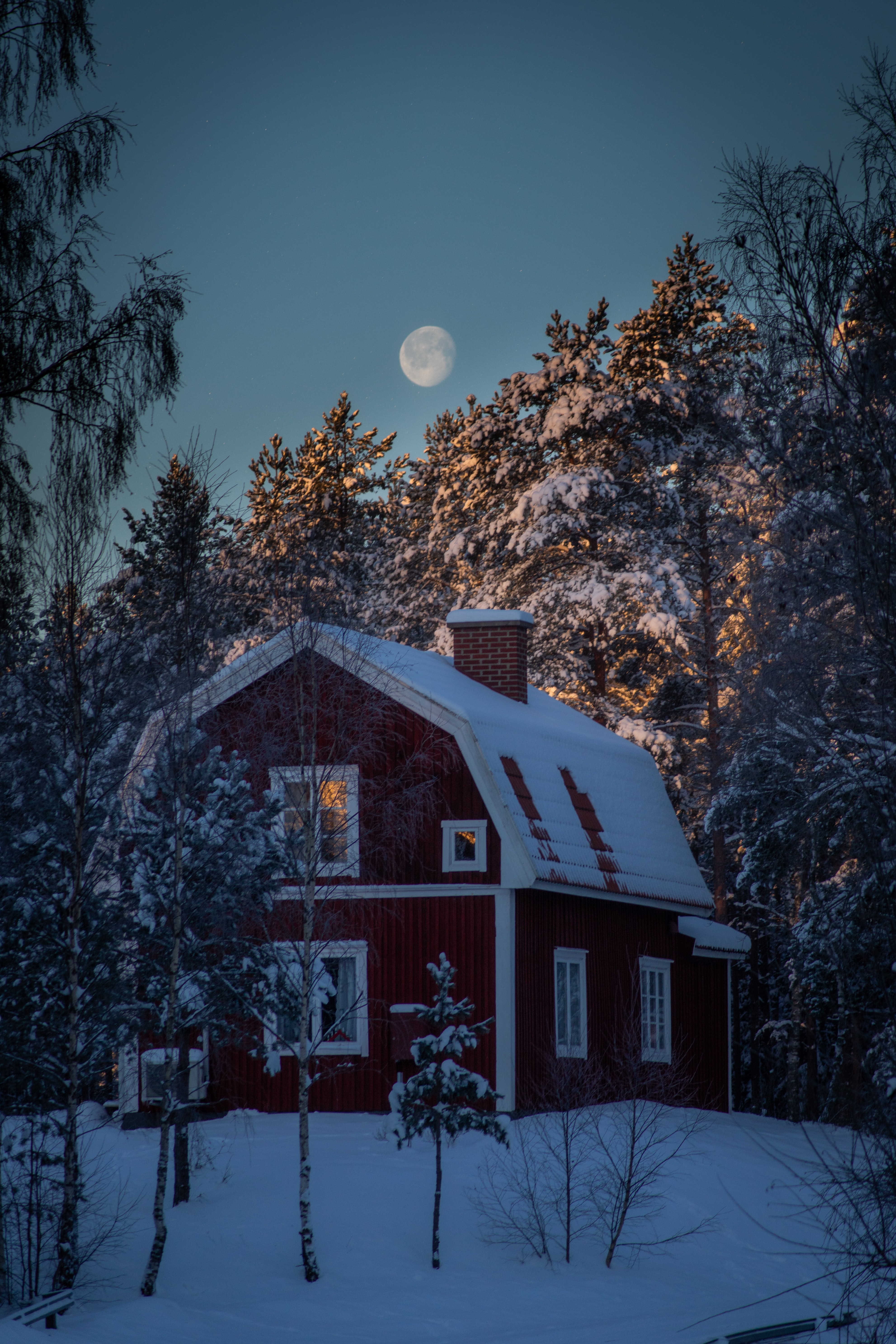 UHD wallpaper moon, night, snow, trees
