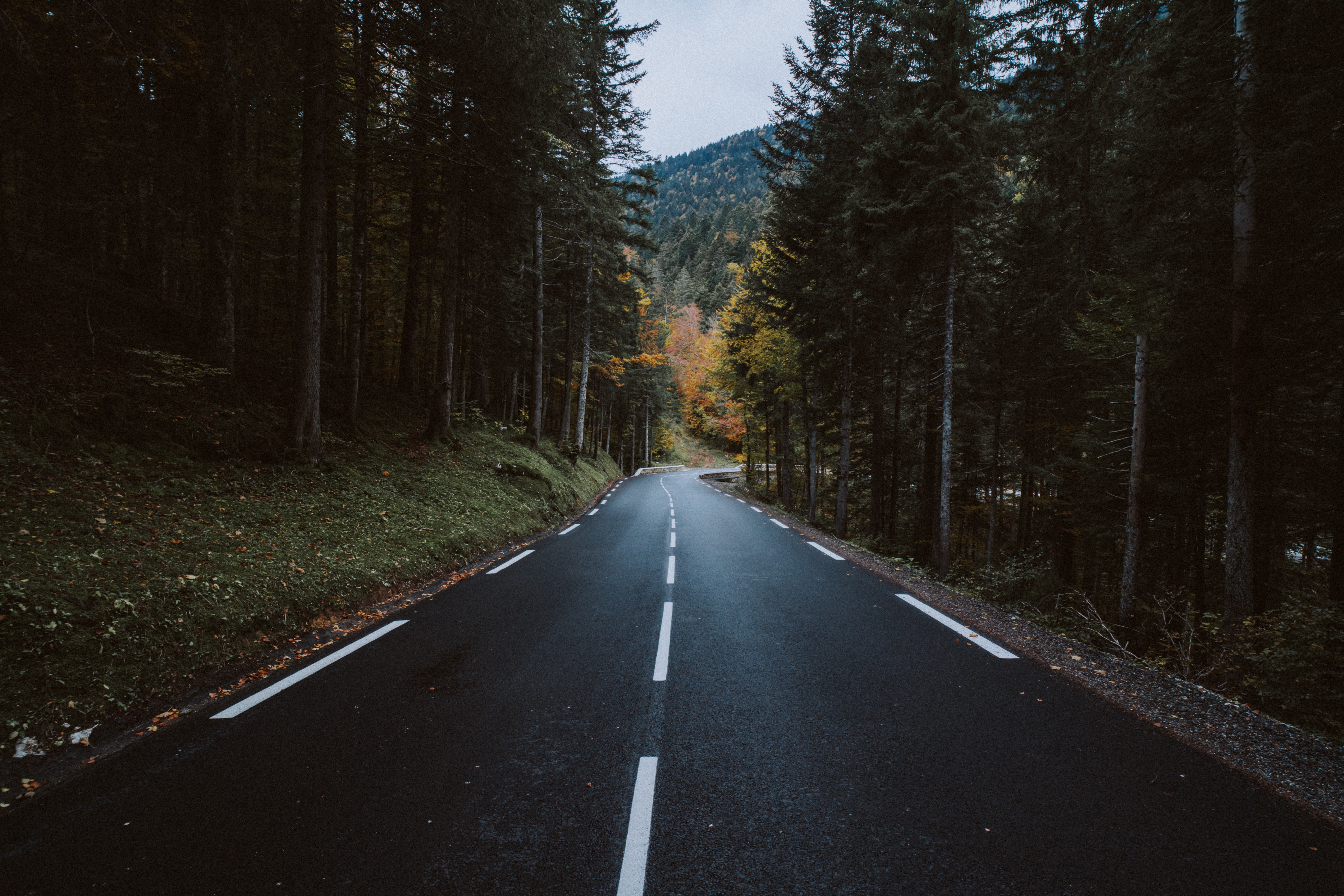 Free Road Background