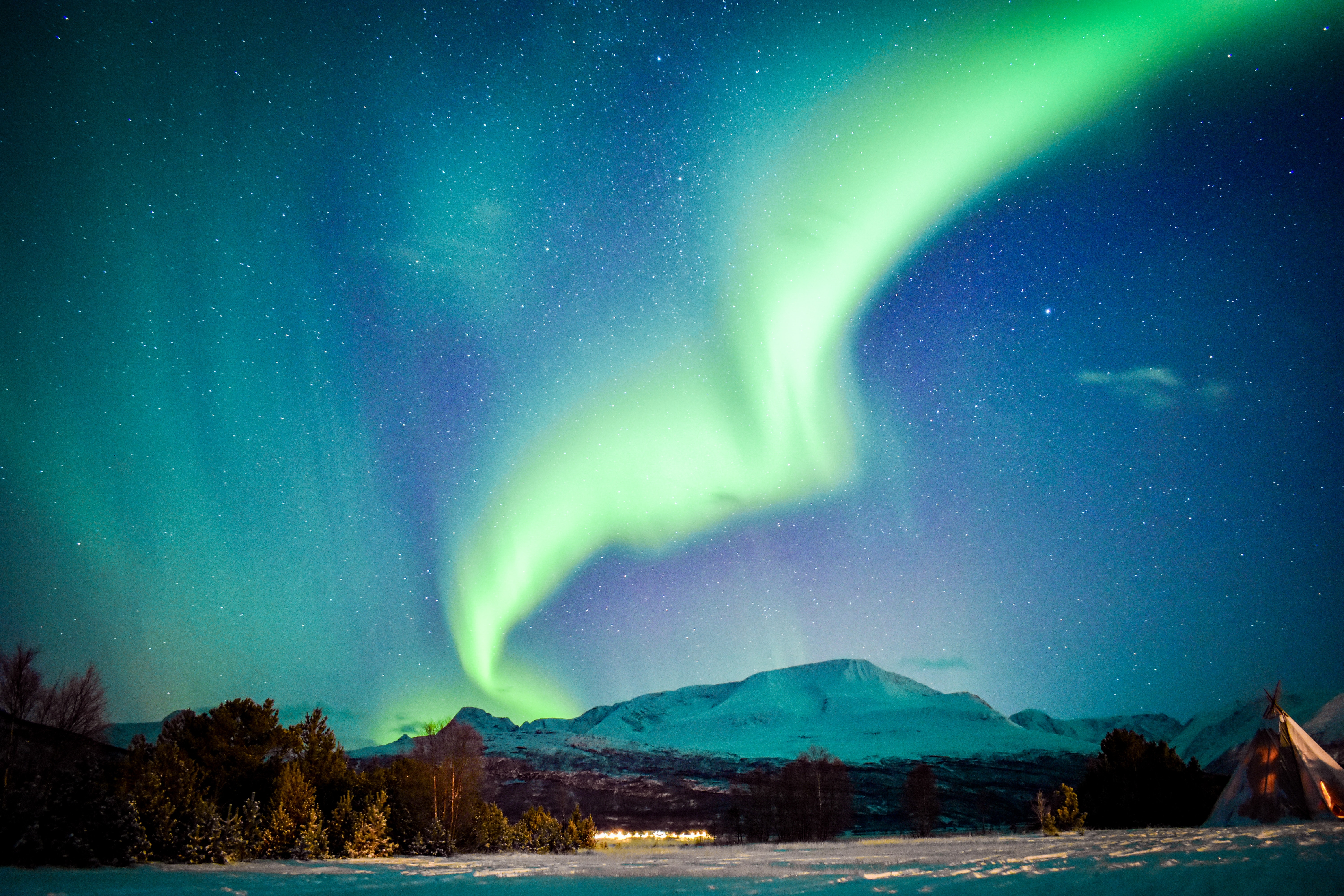 winter, night, aurora, aurora borealis Windows Mobile Wallpaper