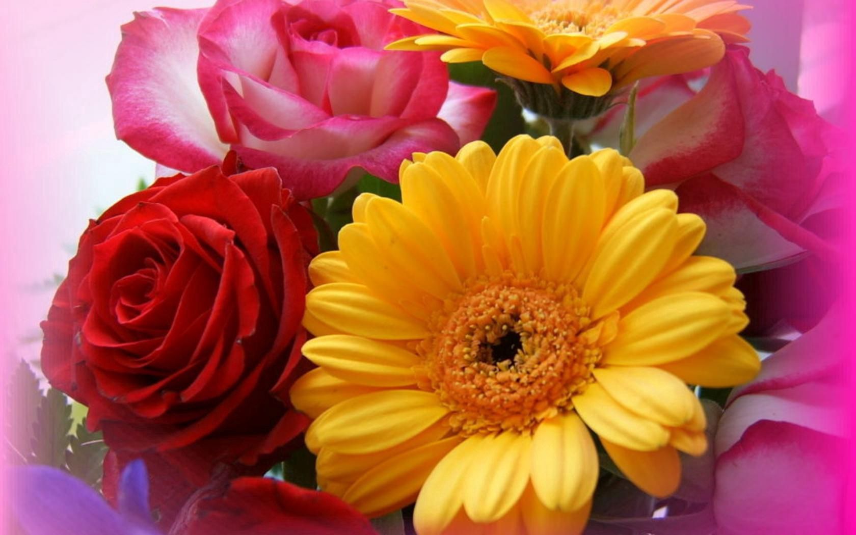 Handy-Wallpaper Blumen, Roses, Gerbera, Nahaufnahme, Strauß, Bouquet, Nahansicht kostenlos herunterladen.
