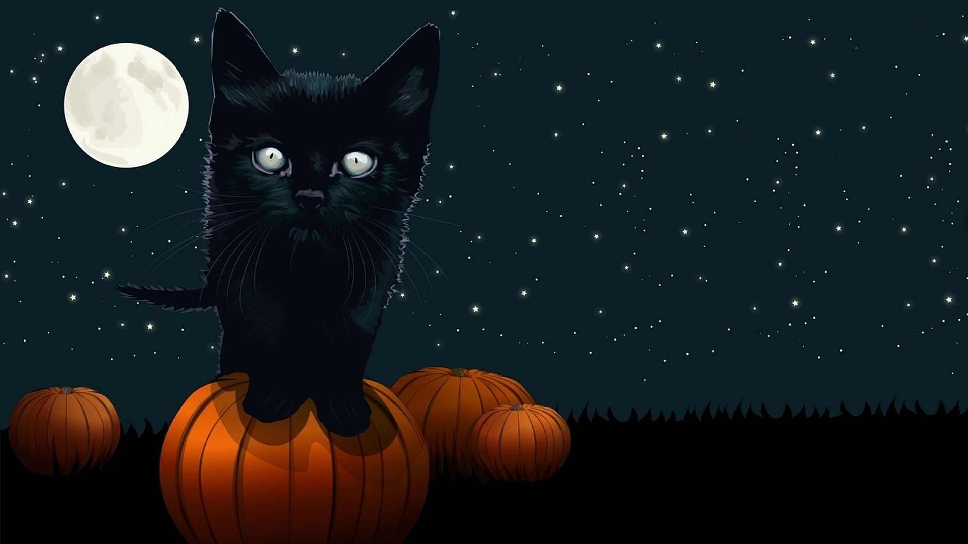 holiday, halloween, cat, full moon, pumpkin