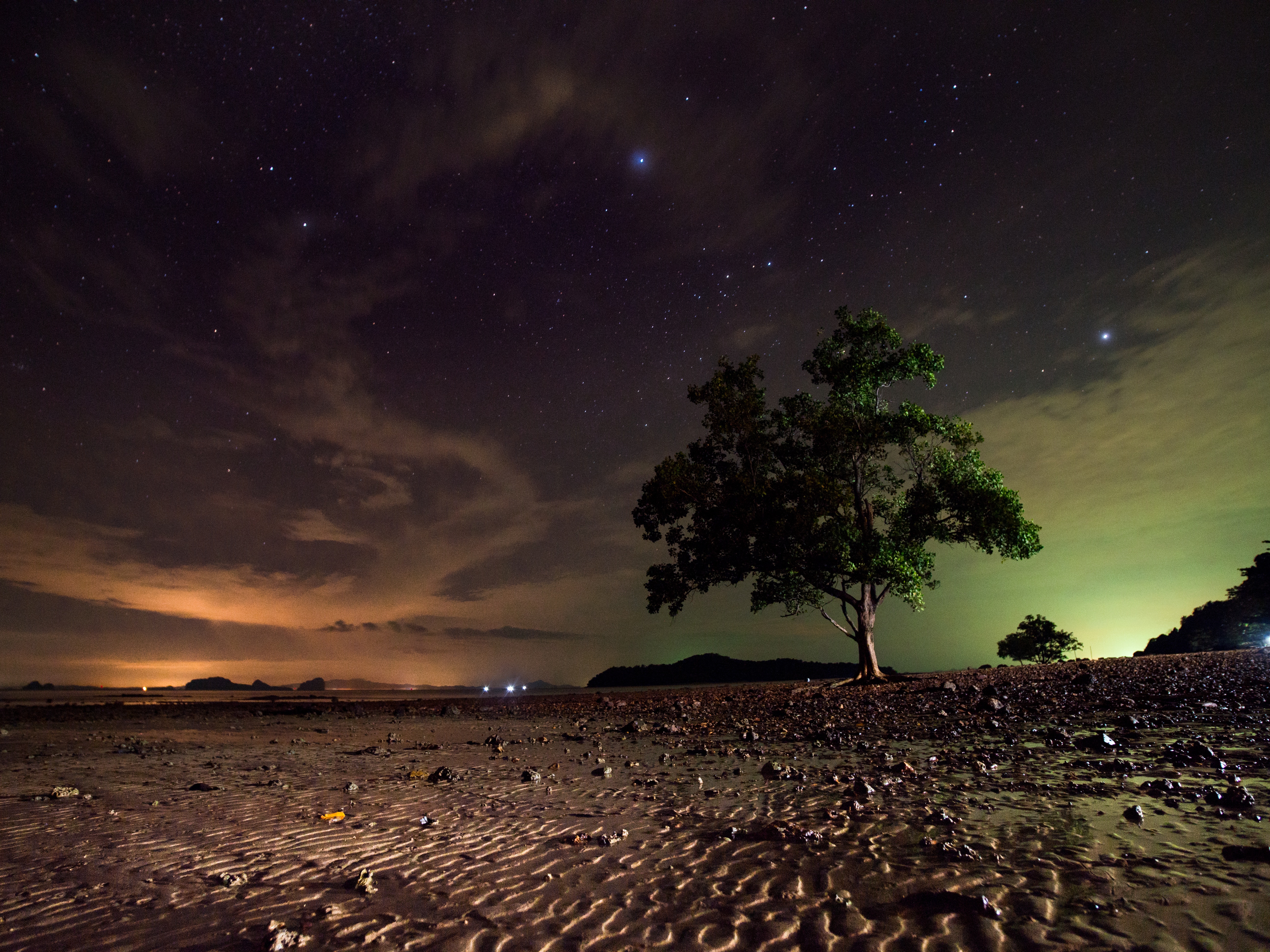 HD wallpaper night, ko lanta, nature, thailand, starry sky, sand, wood, tree, koh lanta