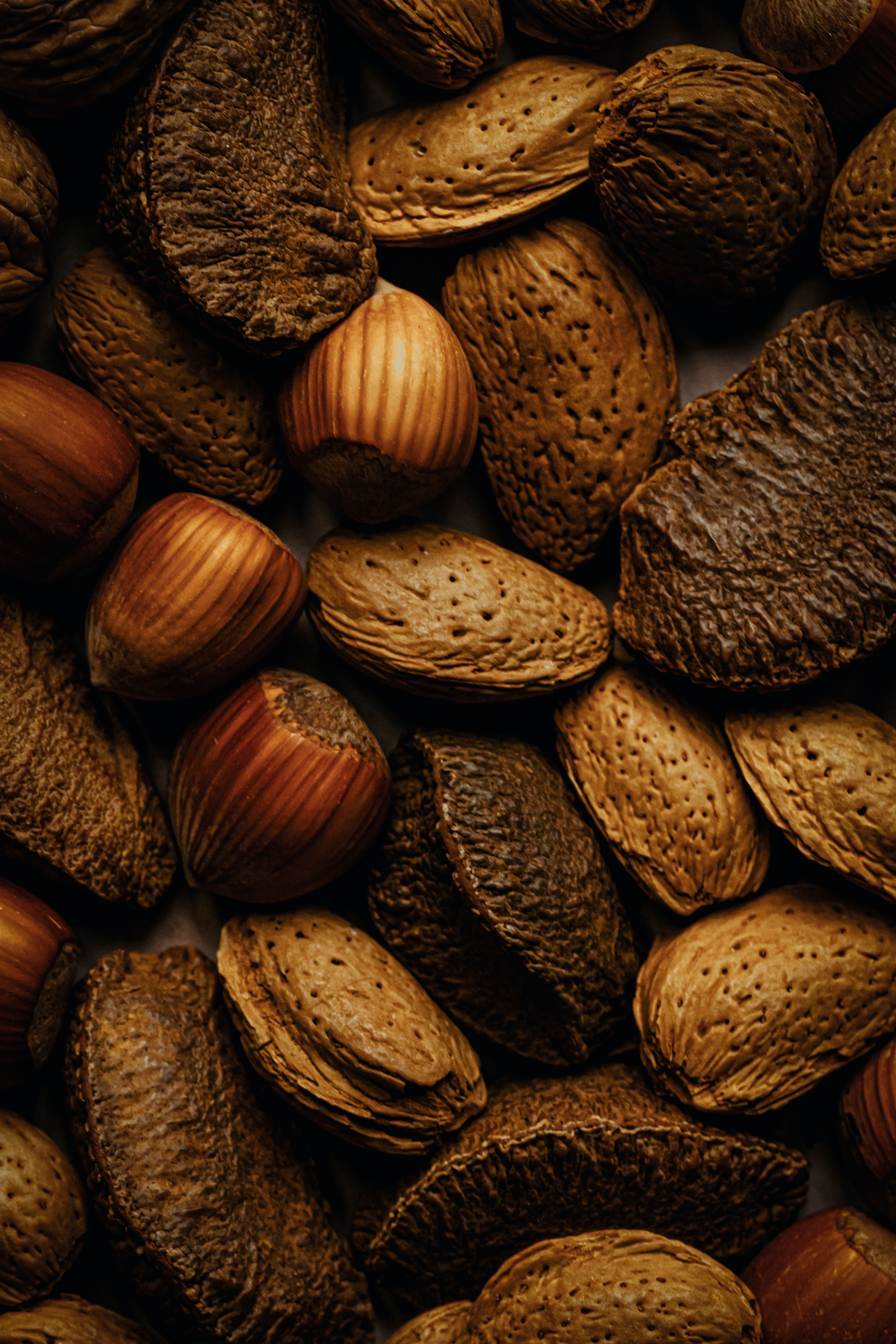nuts, food, brown, fruit, almond, hazelnut cell phone wallpapers
