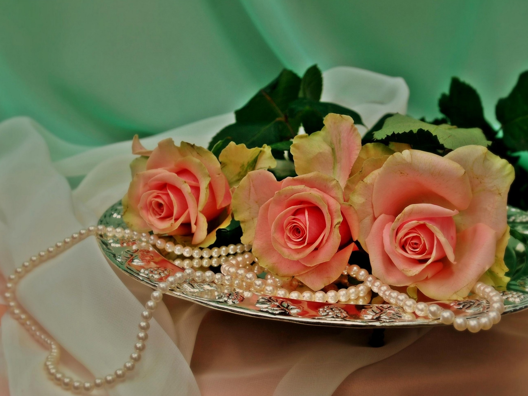 Download Phone wallpaper flowers, tray, pearl, roses