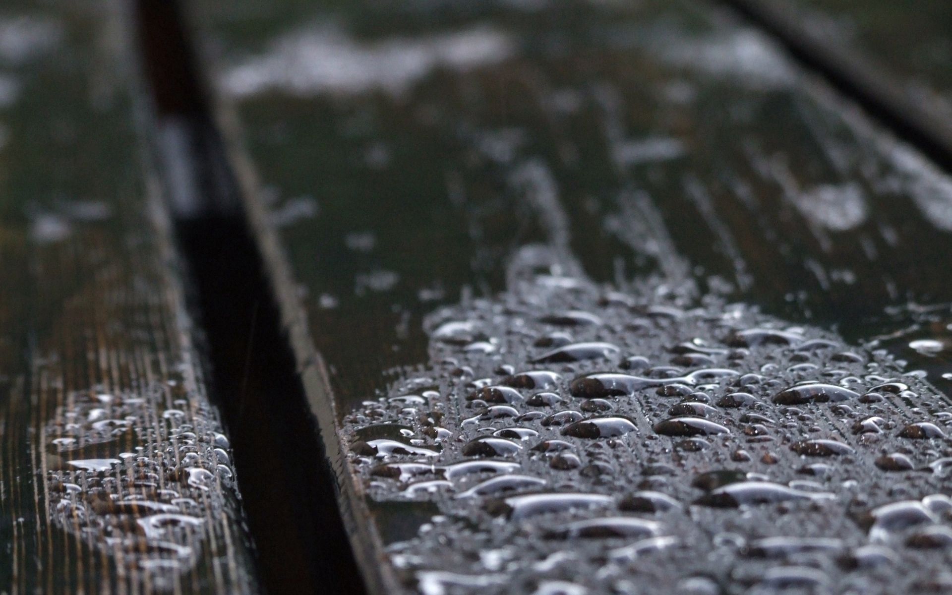 drops, macro, wood, wooden, wet, surface, humid High Definition image