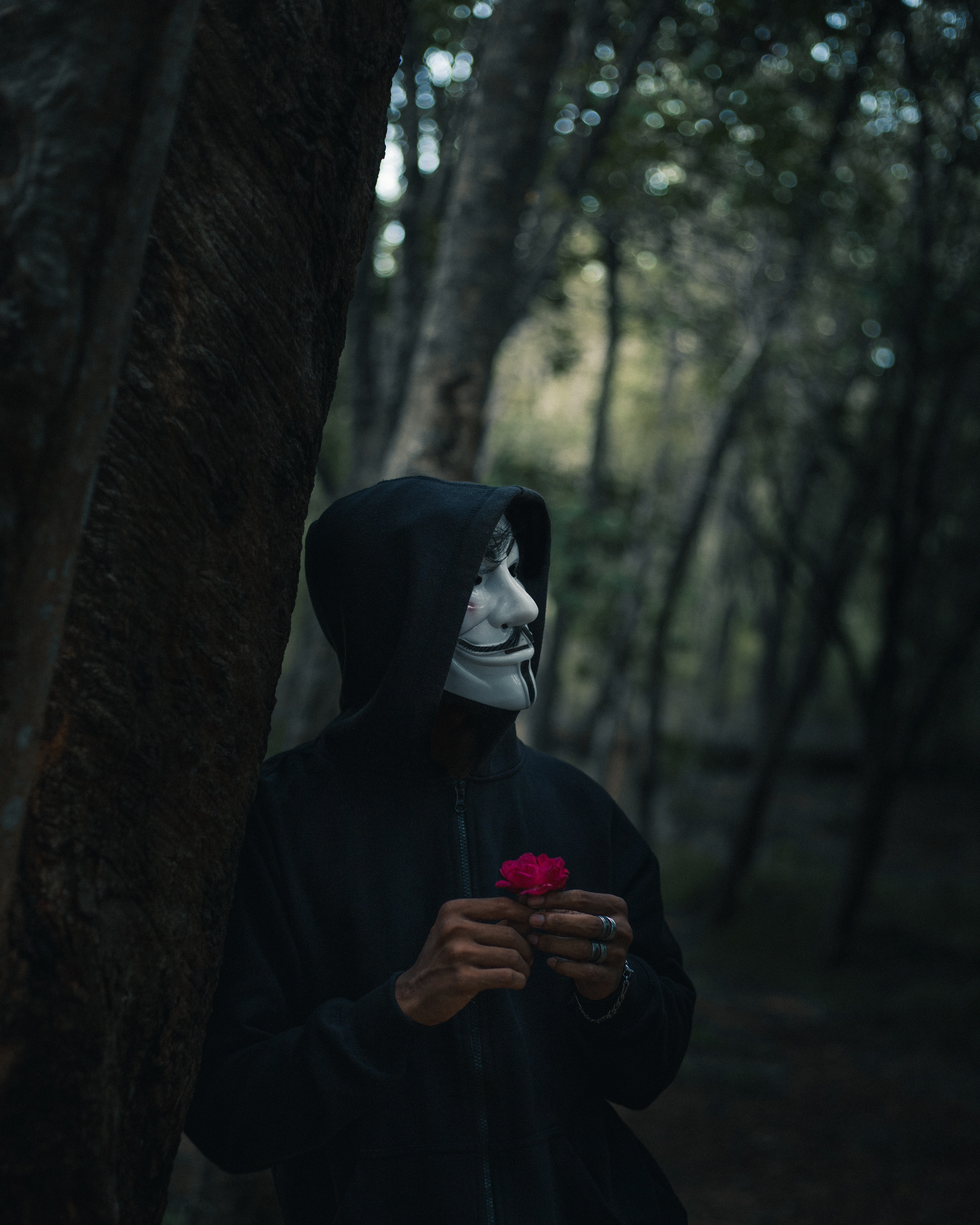 60715 download wallpaper anonymous, miscellanea, miscellaneous, forest, mask, human, person, hood screensavers and pictures for free