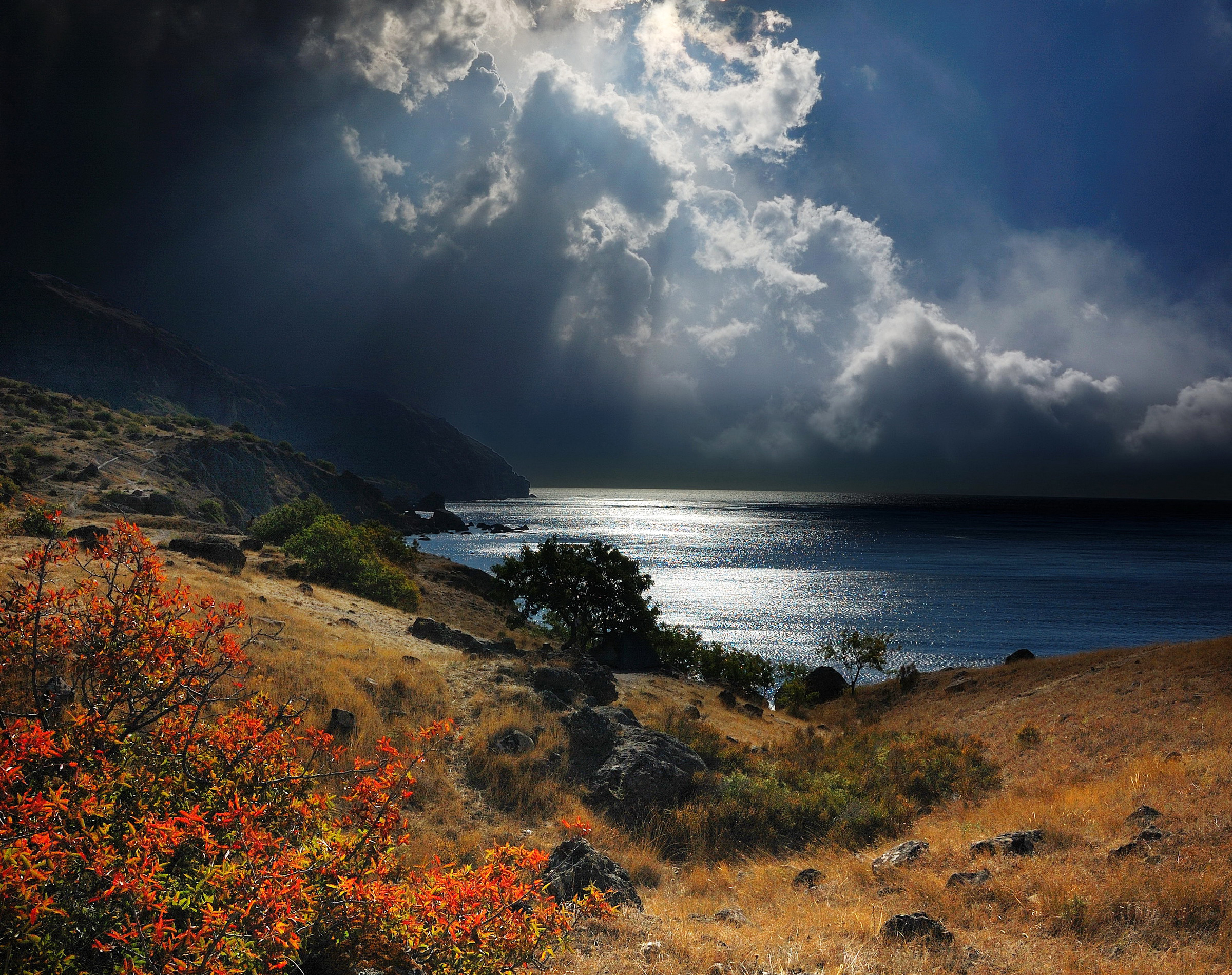 82450 free wallpaper 240x320 for phone, download images sea, sky, shore, crimea 240x320 for mobile
