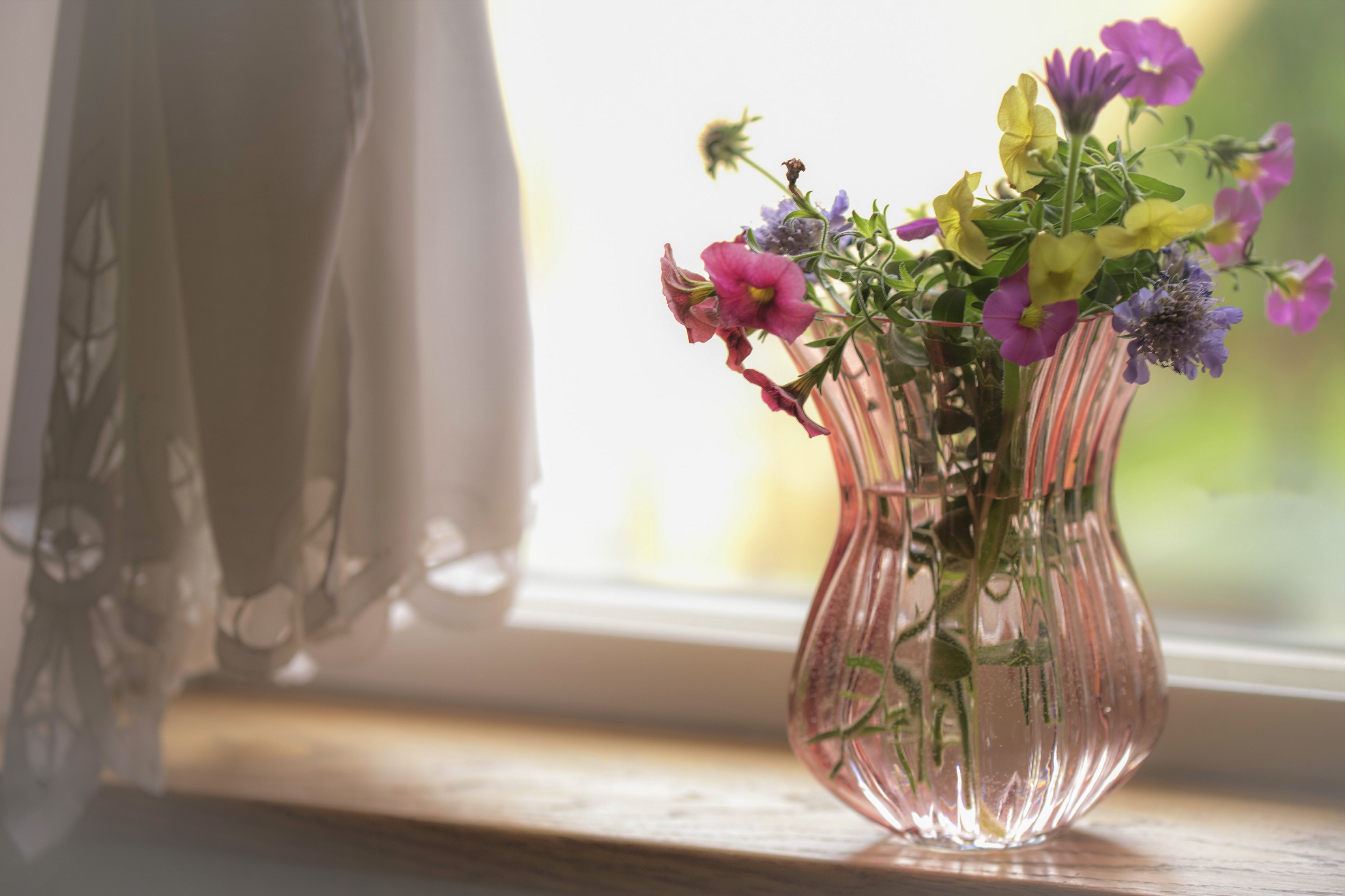 Узкая ваза с цветами на фоне окна