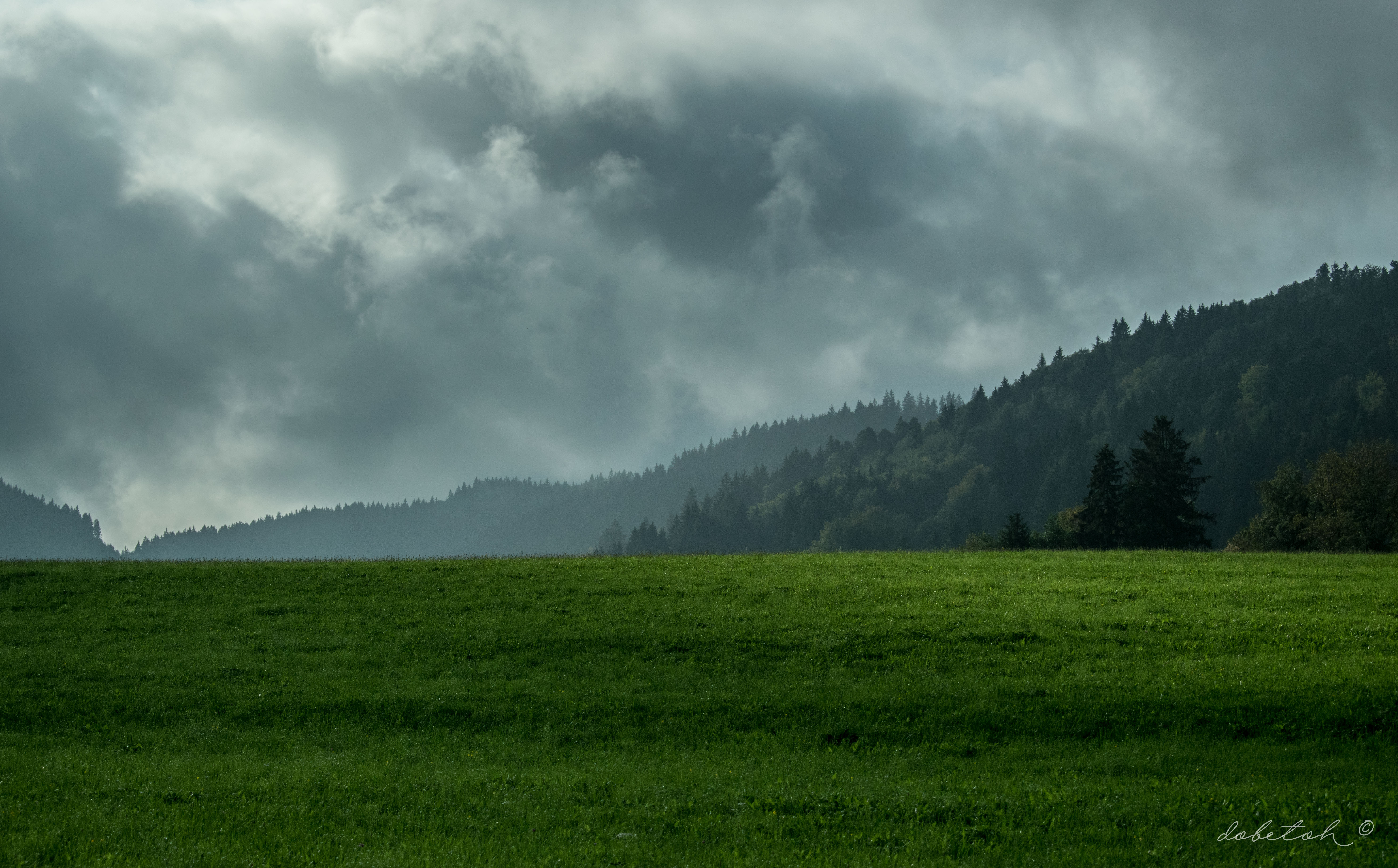 mountains, nature, clouds, forest, fog, lawn