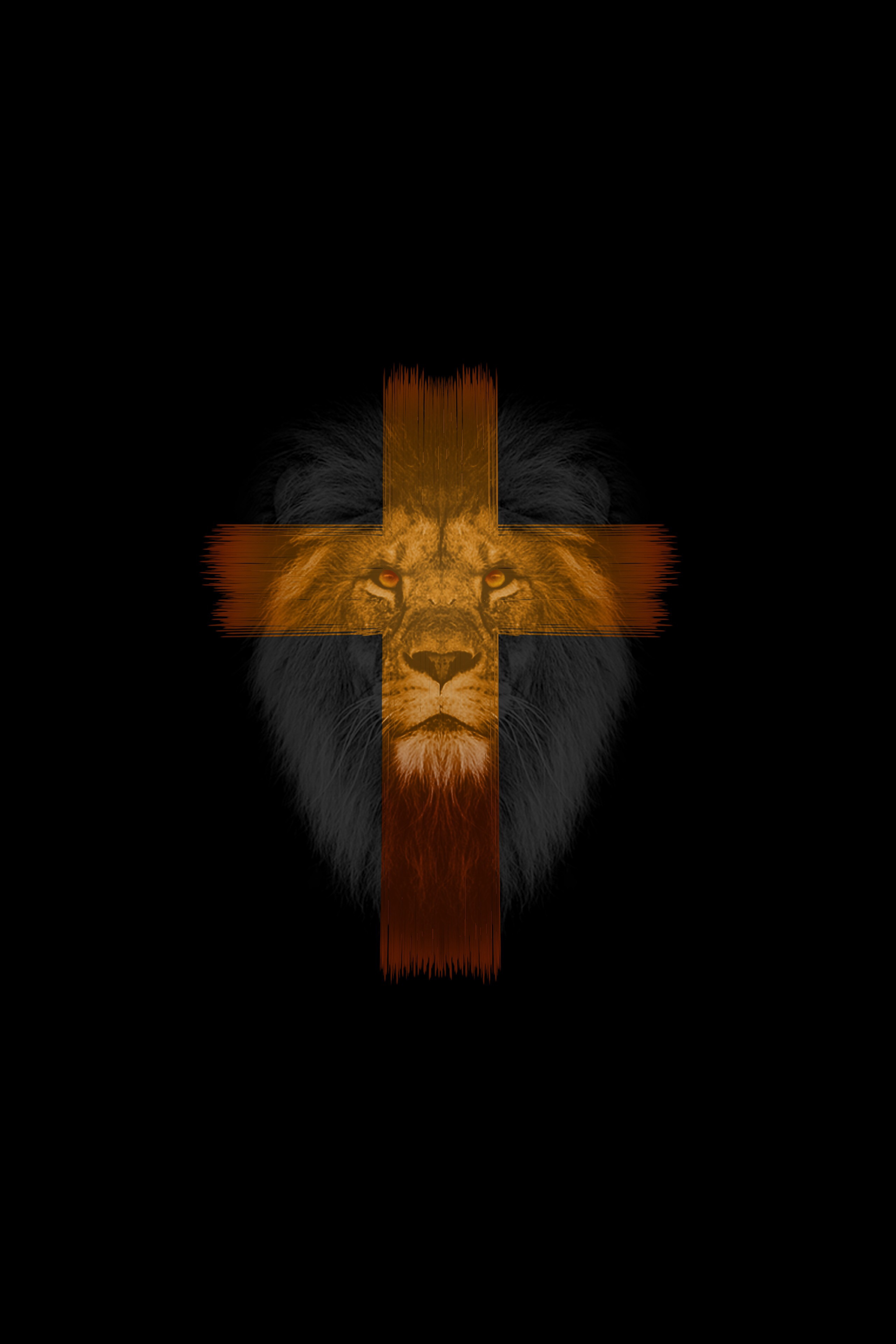 lion, cross, animals, dark, muzzle phone wallpaper