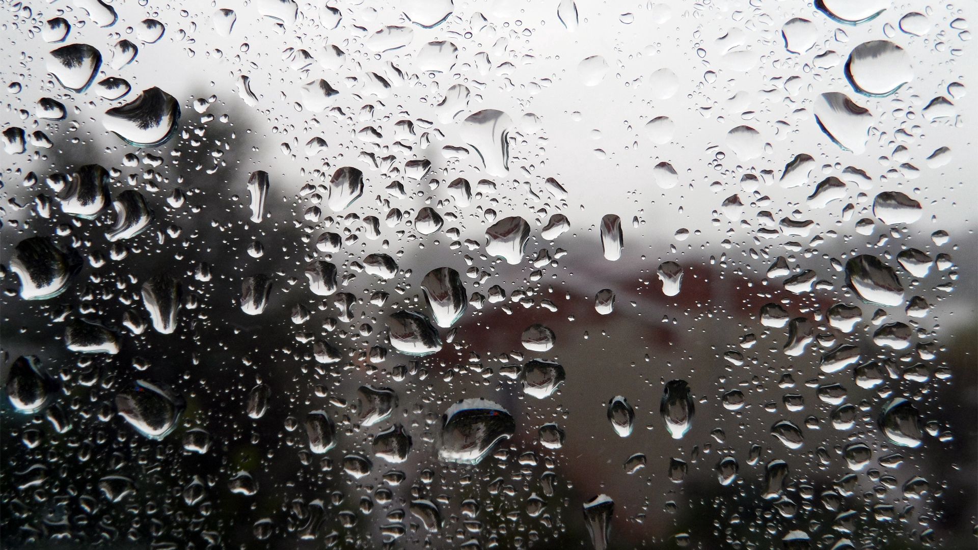 rain, drops, macro, glass cellphone